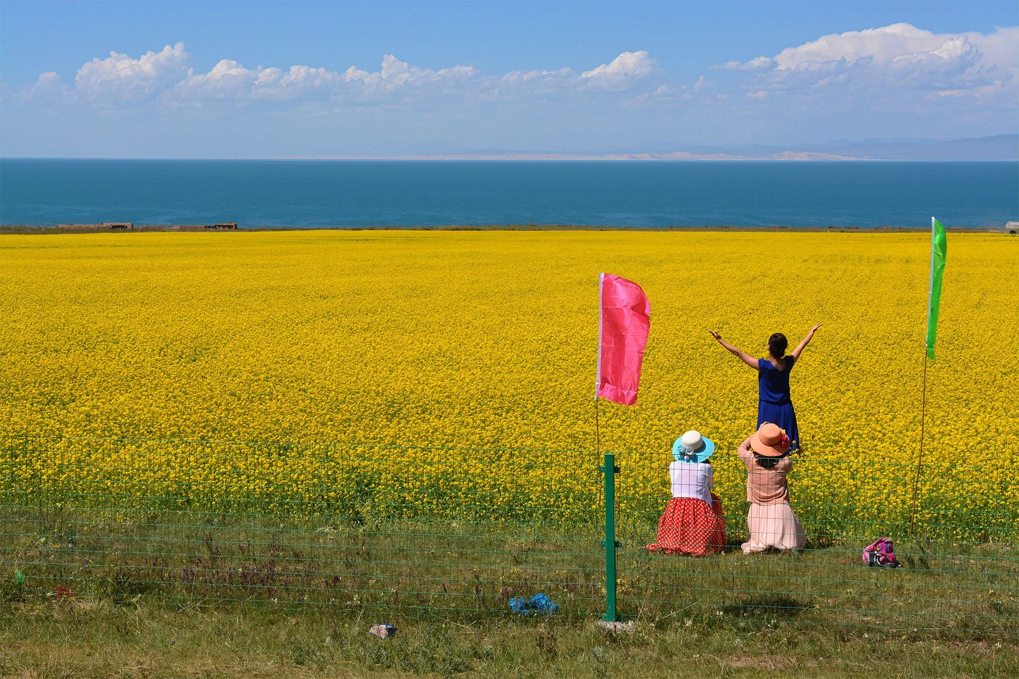 Rape flower meadow, Qinghai Autonomous Region, 2014