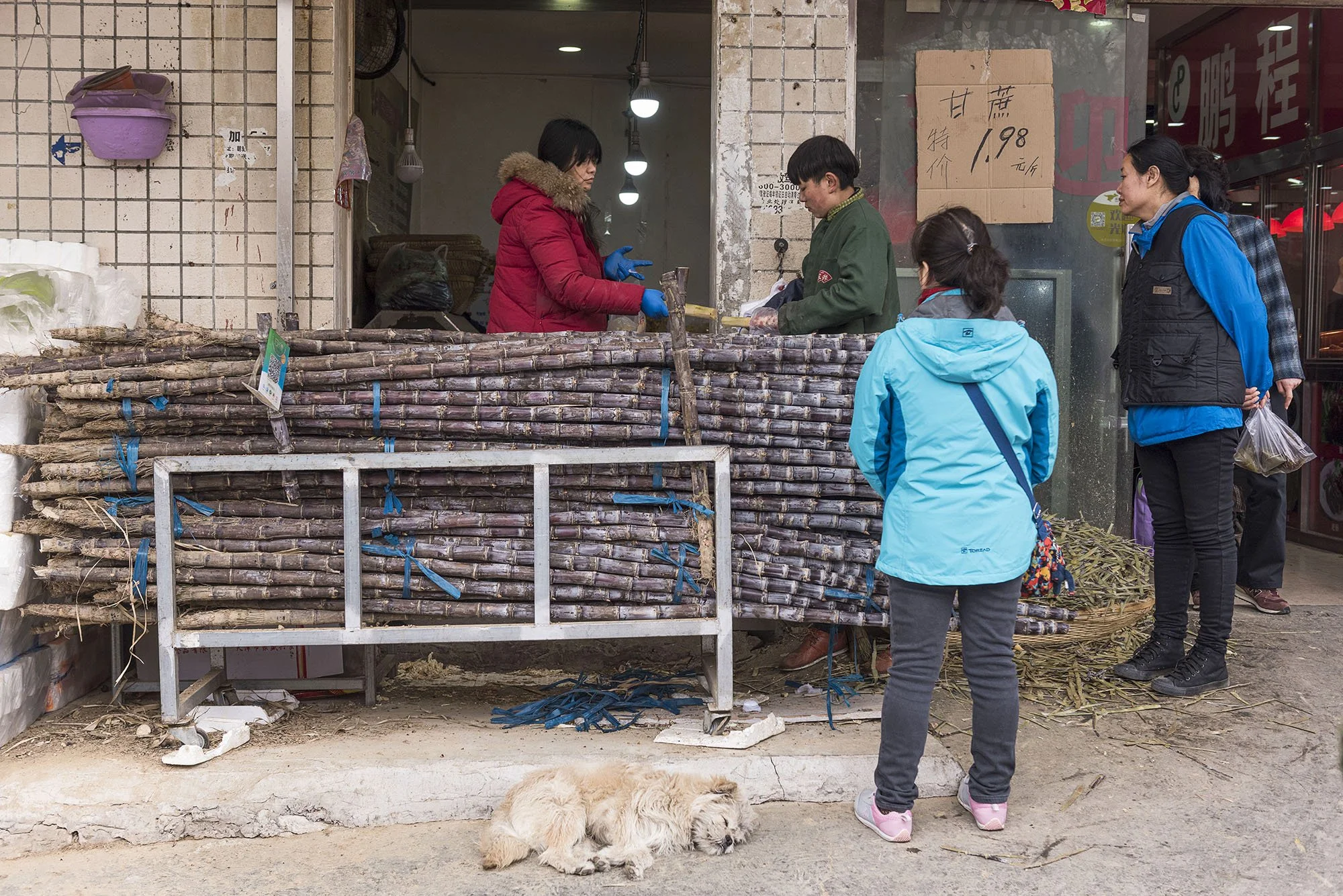 Market, Chaoyang Road, 2016