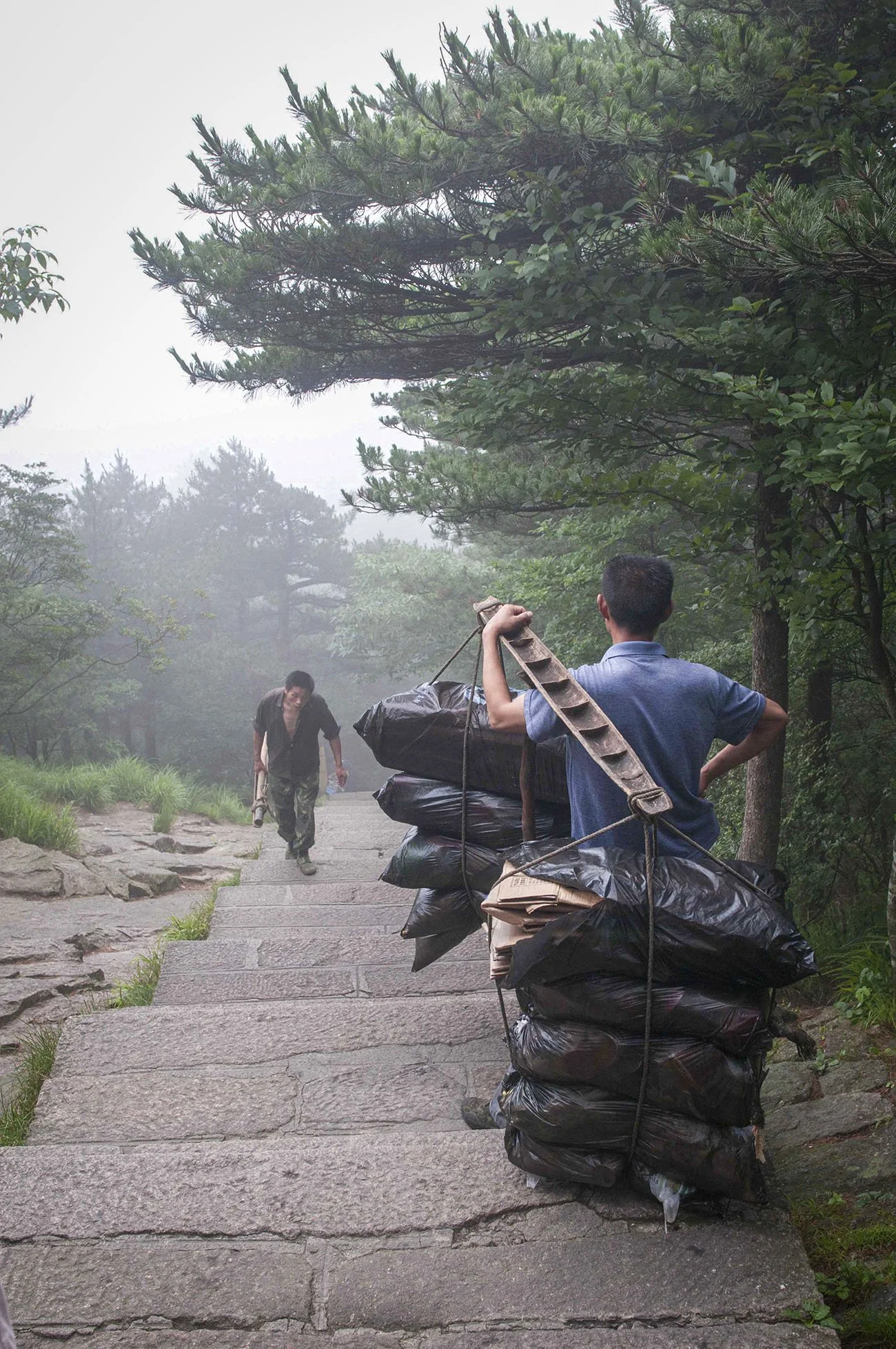 Huangshan, 2012