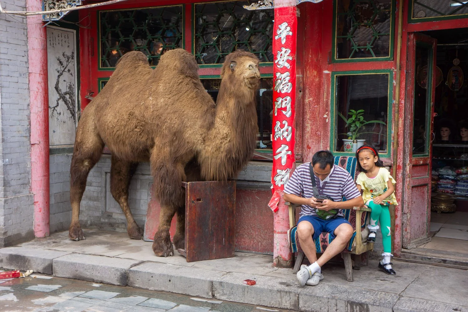 Xilinhot, 2013