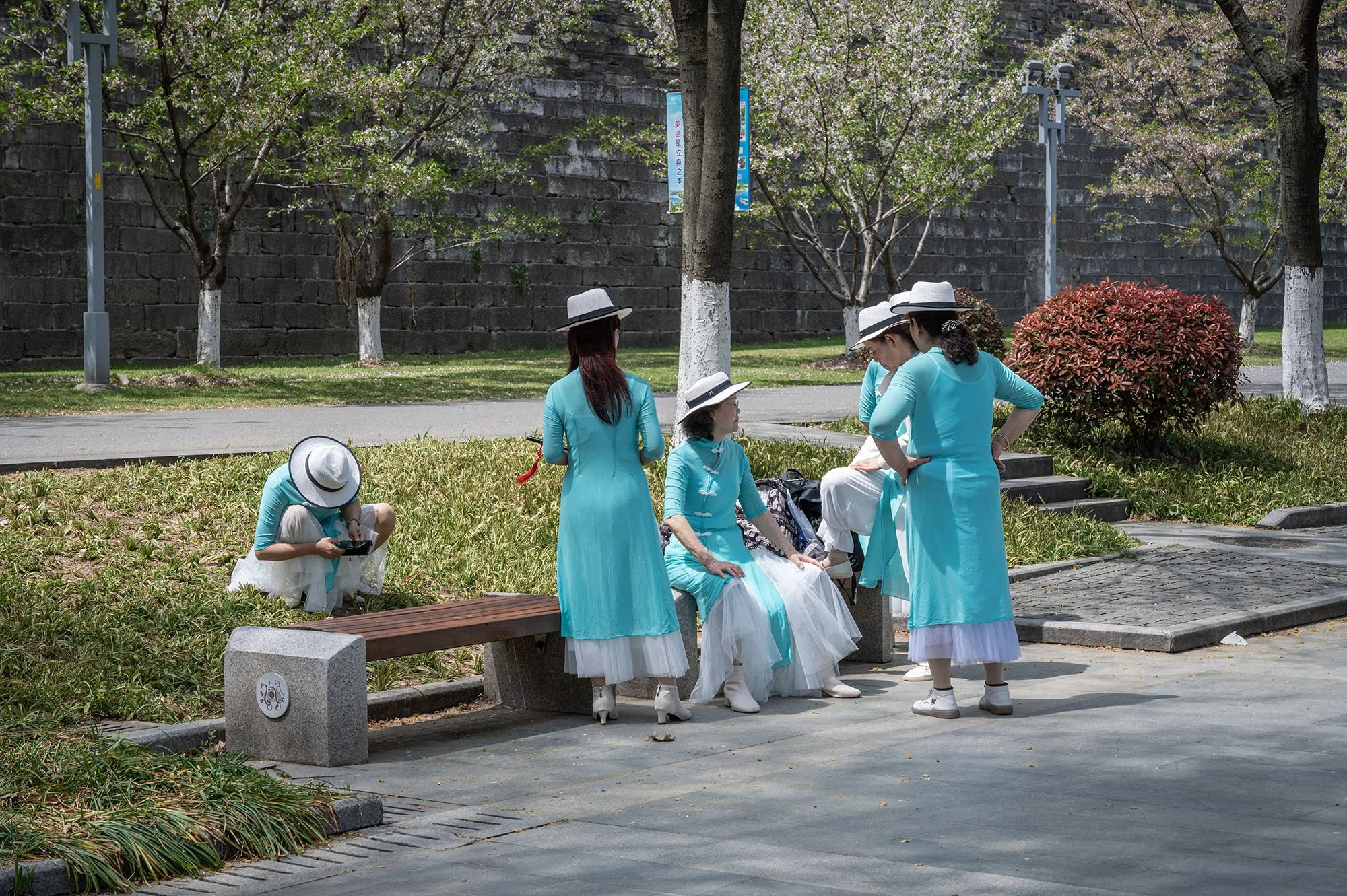 Xuanwu Central Park, 2024