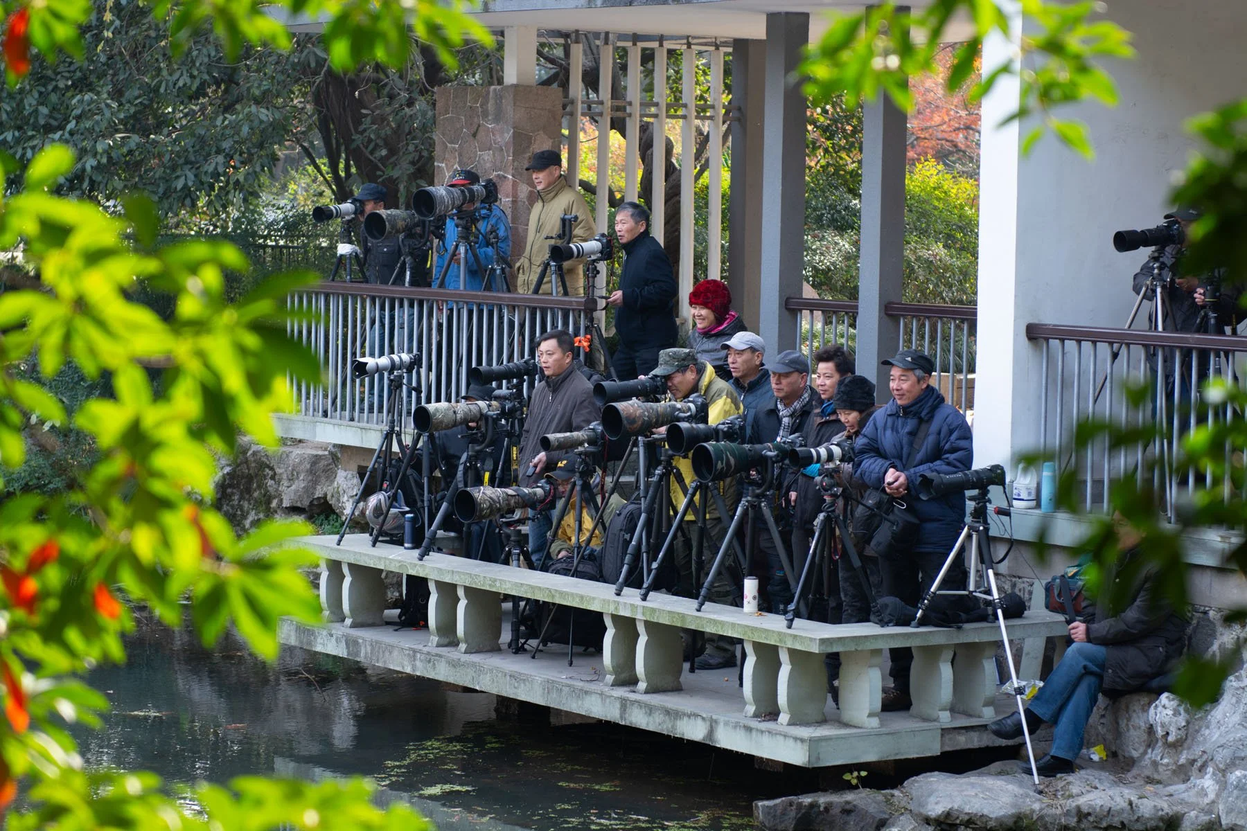 West Lake, 2012