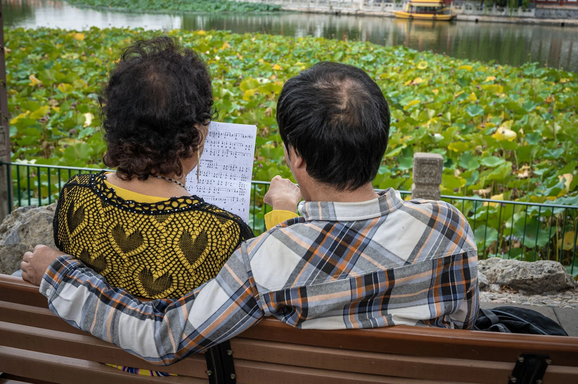 Baihai Park, Beijing, 2024
