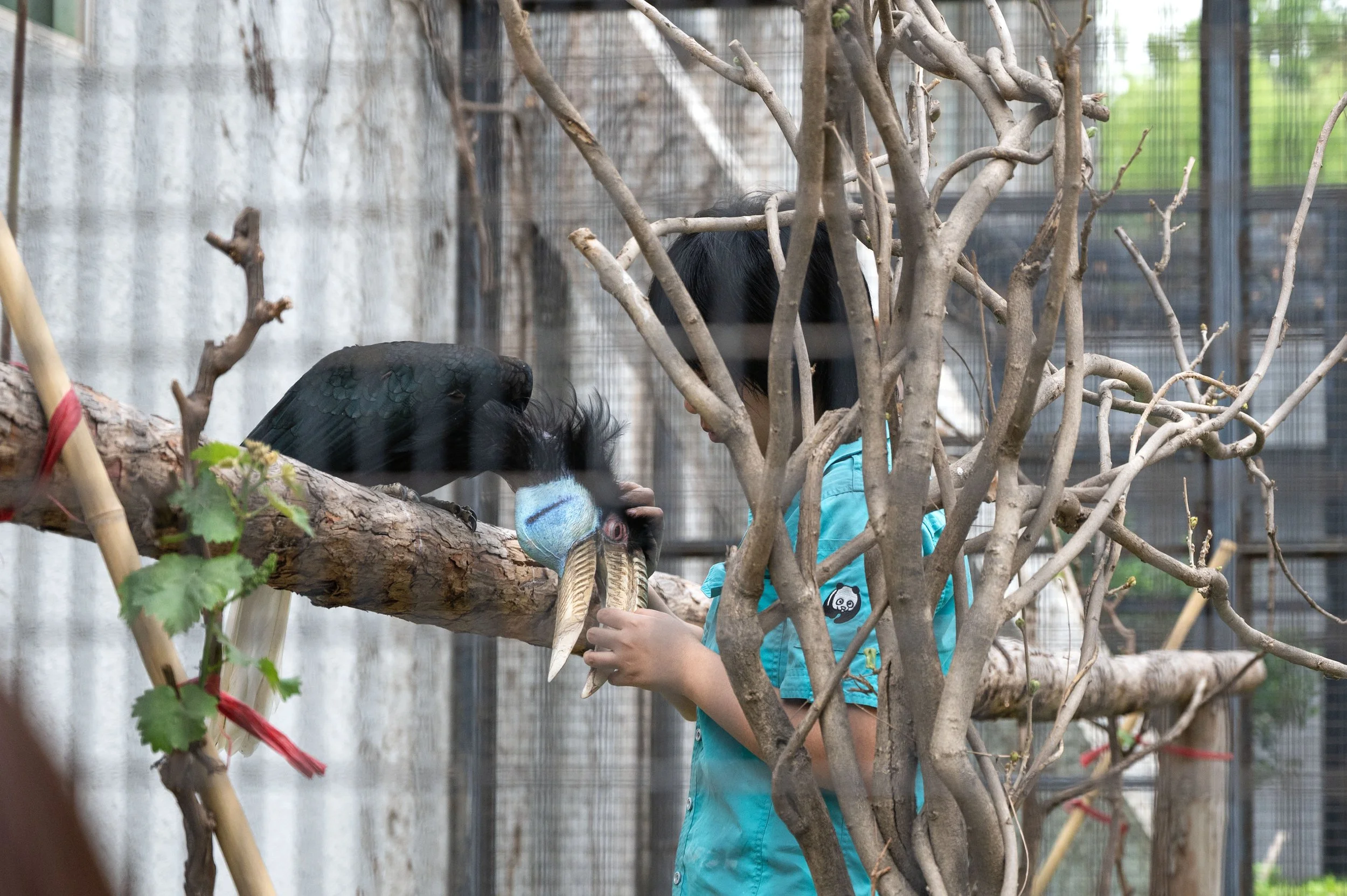 Beijing Zoo 2023