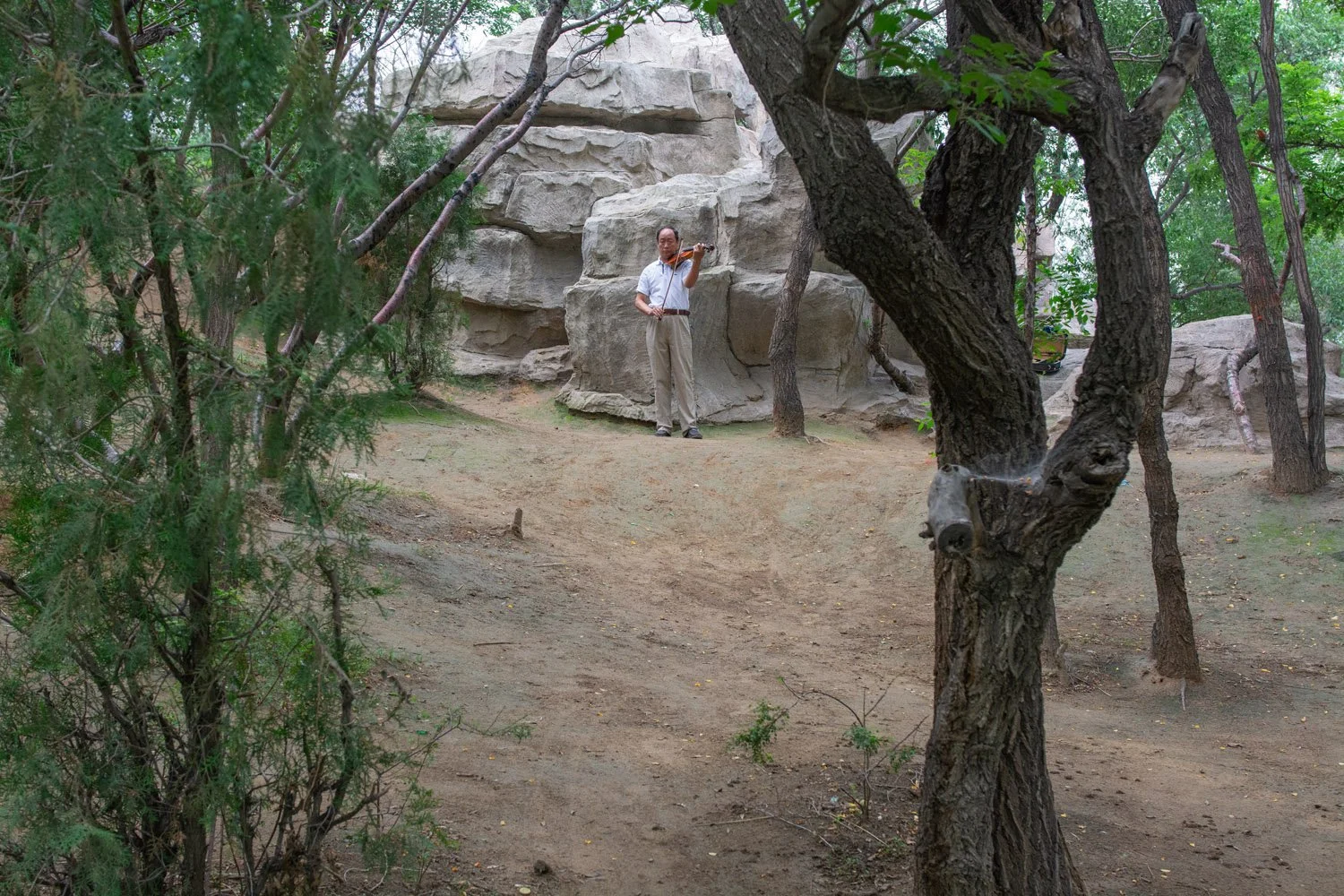 Hohhot Park, 2013