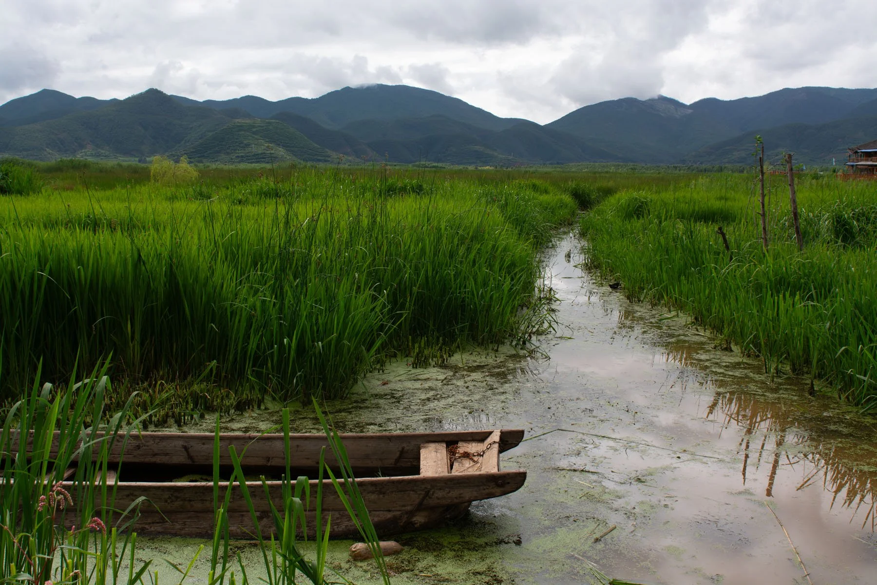 Lugu Lake, 2014