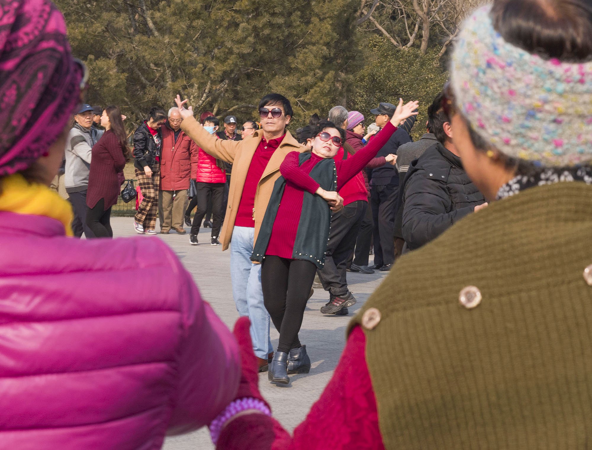 Xinglong Park, Chaoyang, Beijing, 2016