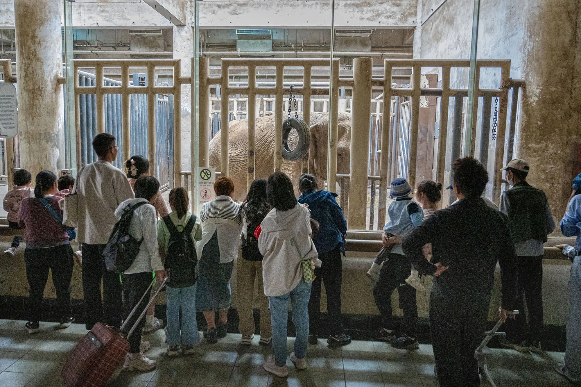 Beijing Zoo, 2023