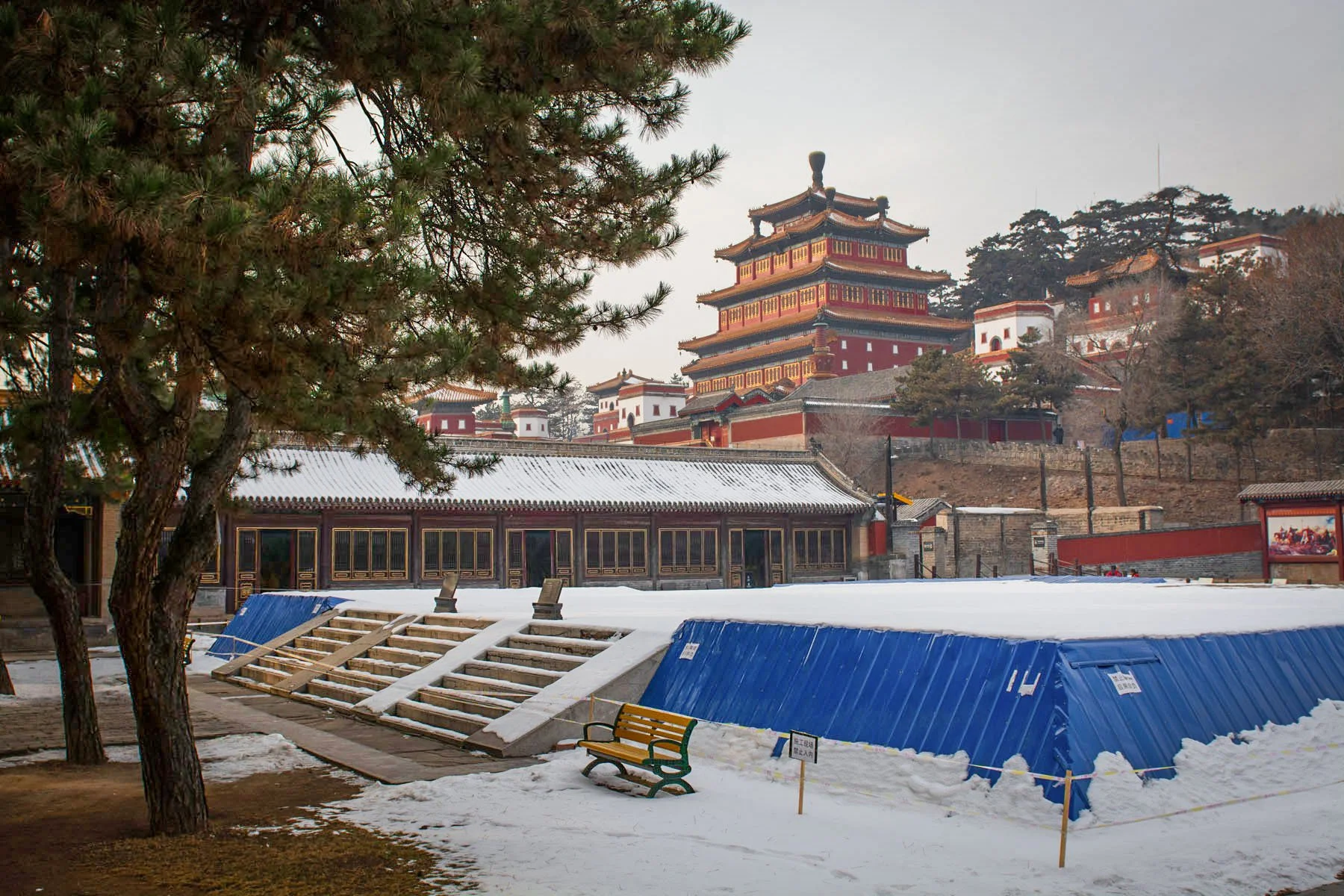 Putuo Zongcheng Temple, 2016