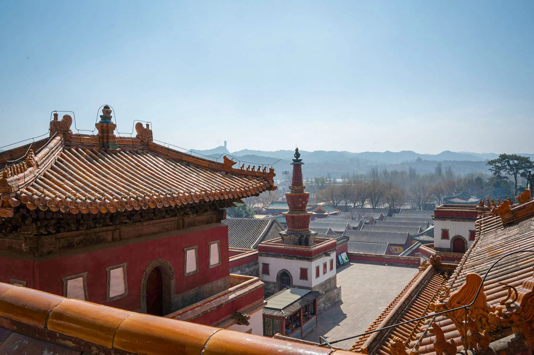 Putuo Zongcheng Temple, 2016
