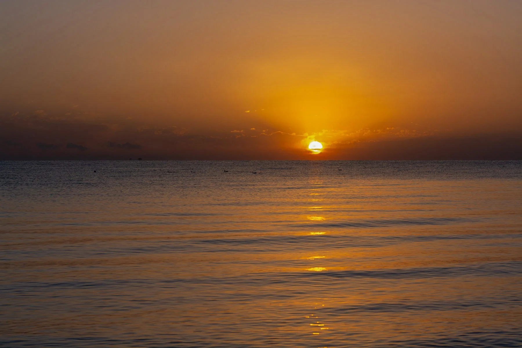 Sunrise, Qinghai Lake, 2014