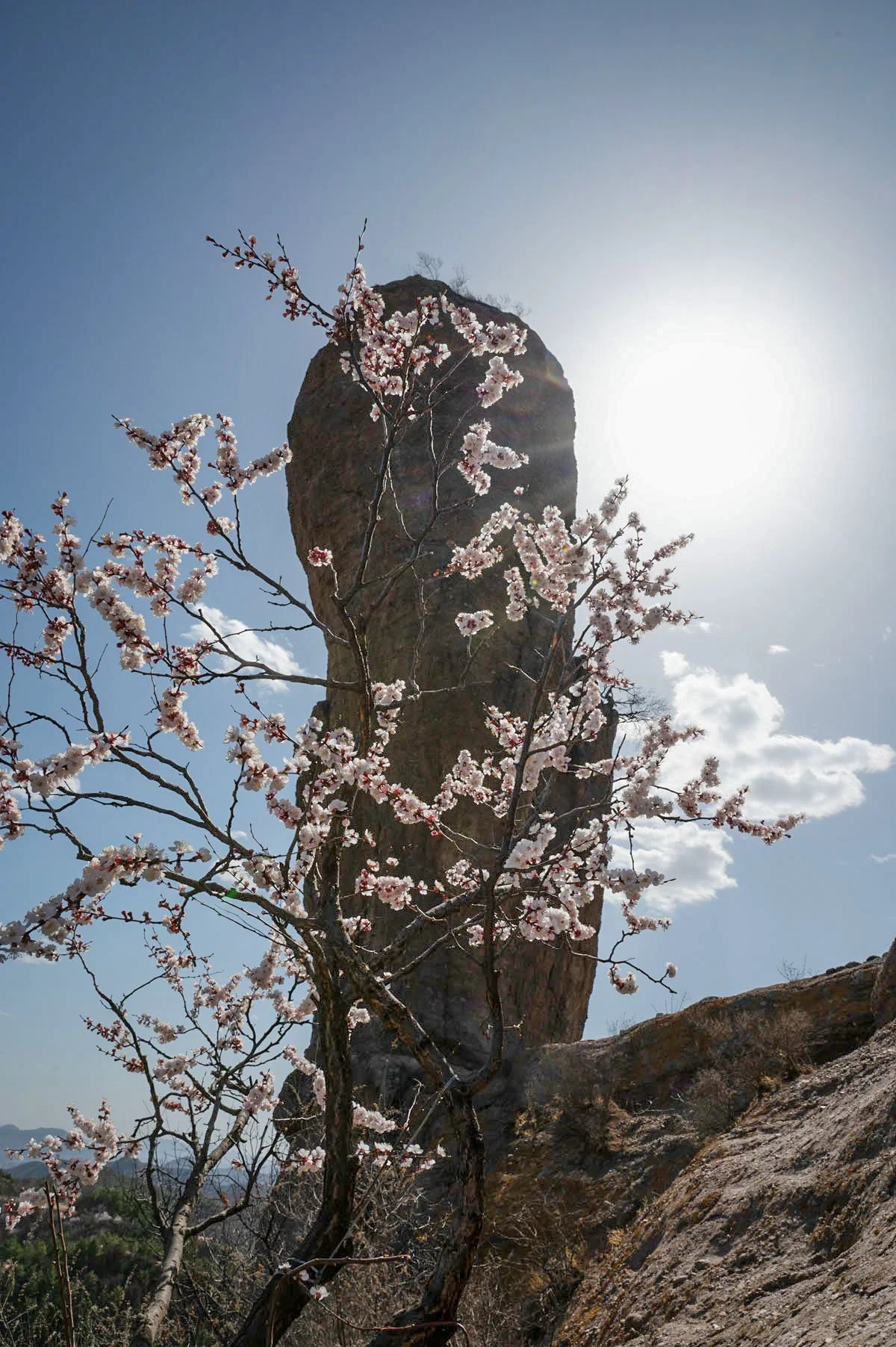 Changchun Mountain, 2023