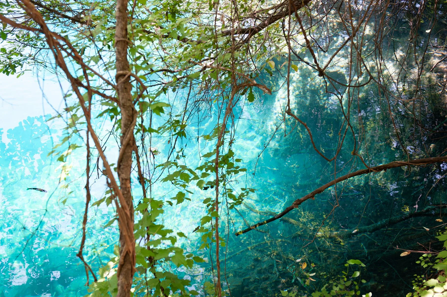 Jiuzhaiguo, 2011