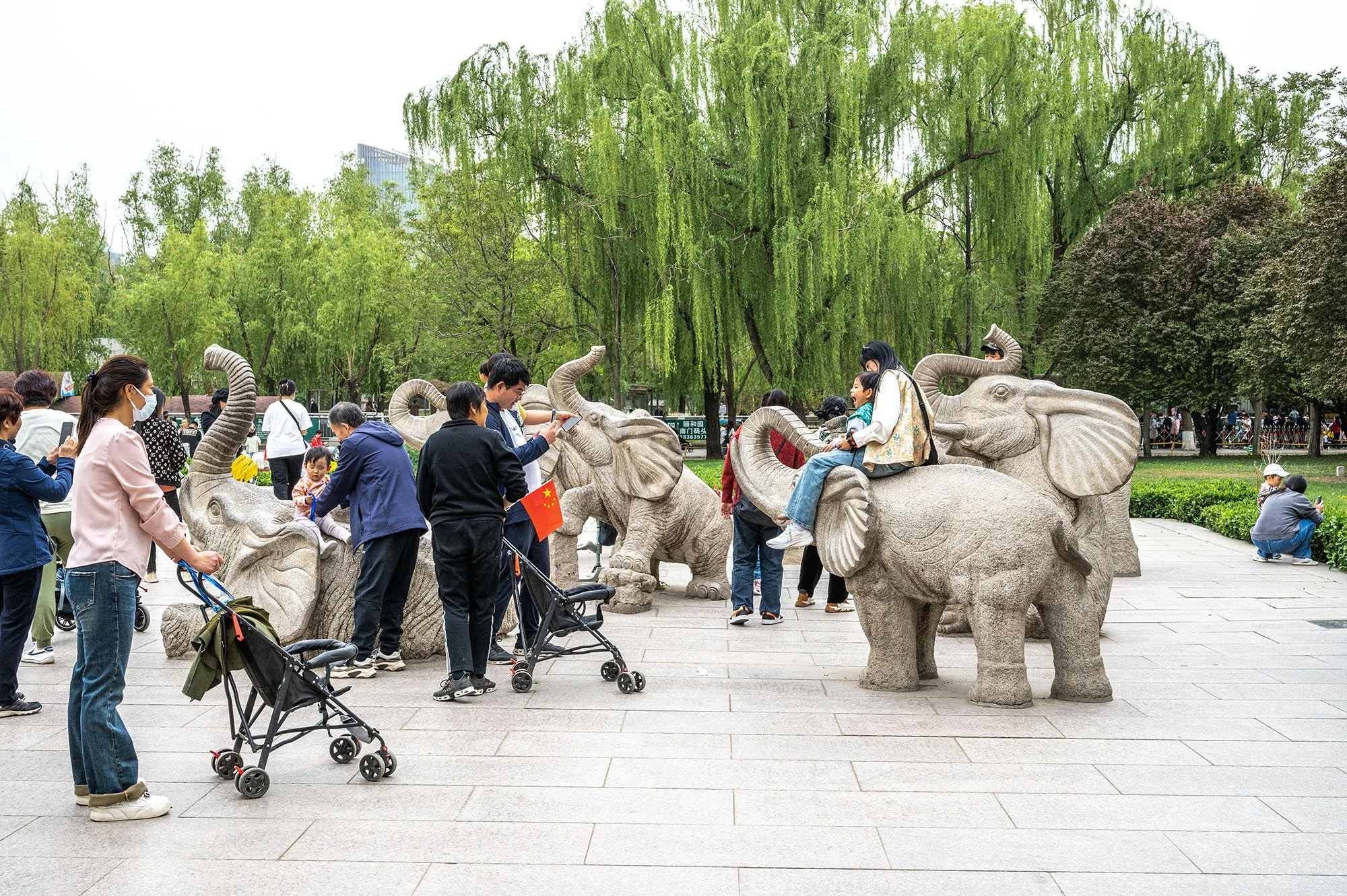 Beijing Zoo, 2023