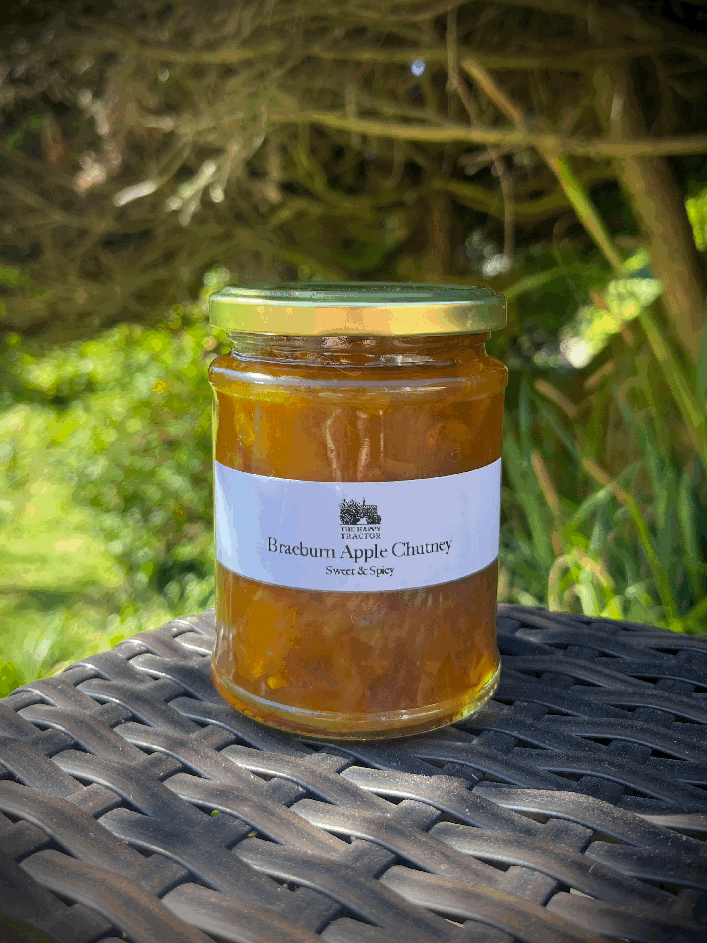 Homemade Braeburn Apple Chutney