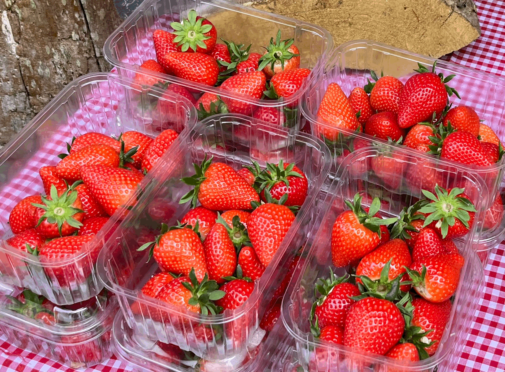 Strawberries - Hugh Lowe