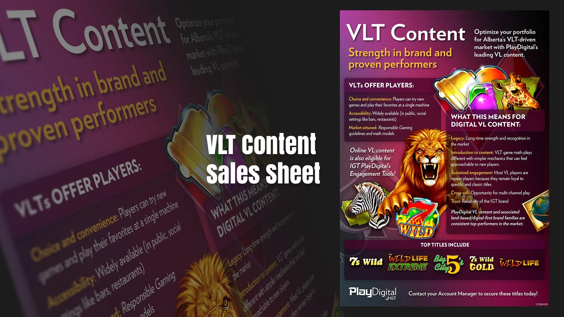 Sales Sheet 1.jpg