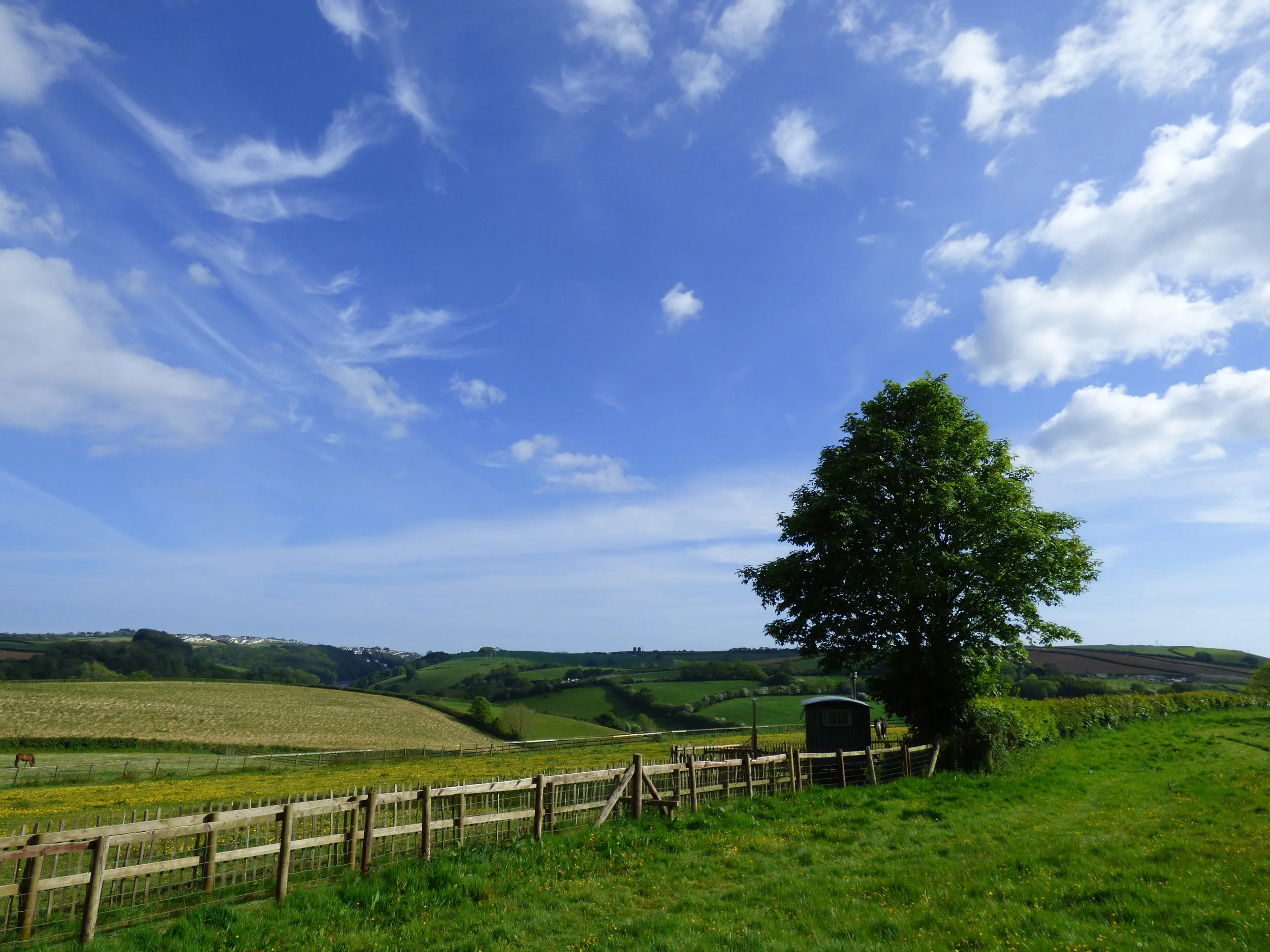 Scenic view of a green countryside with trees, rolling hills, fenced fields, and a partly cloudy blue sky.