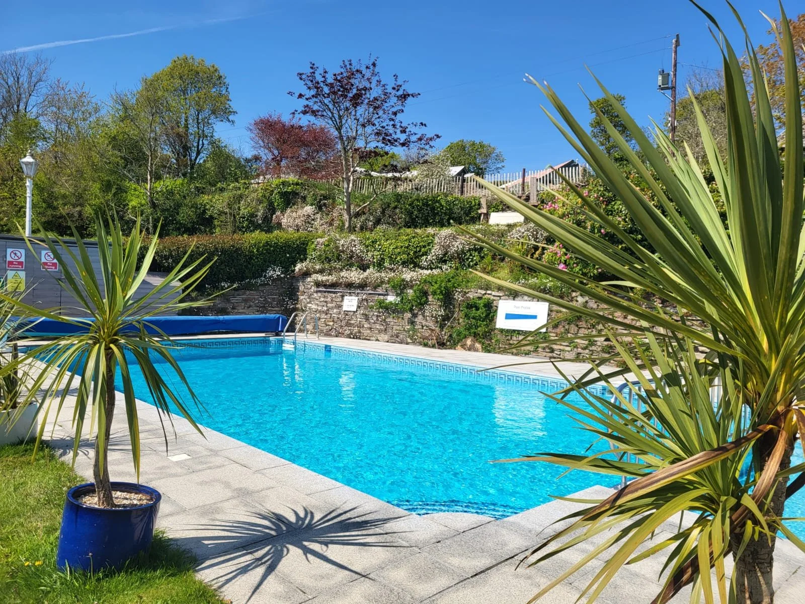 An outdoor swimming pool surrounded by potted plants, lush greenery, colorful flowering bushes, and a stone wall. The sky is clear and blue with some electrical lines and a utility pole visible in the background.
