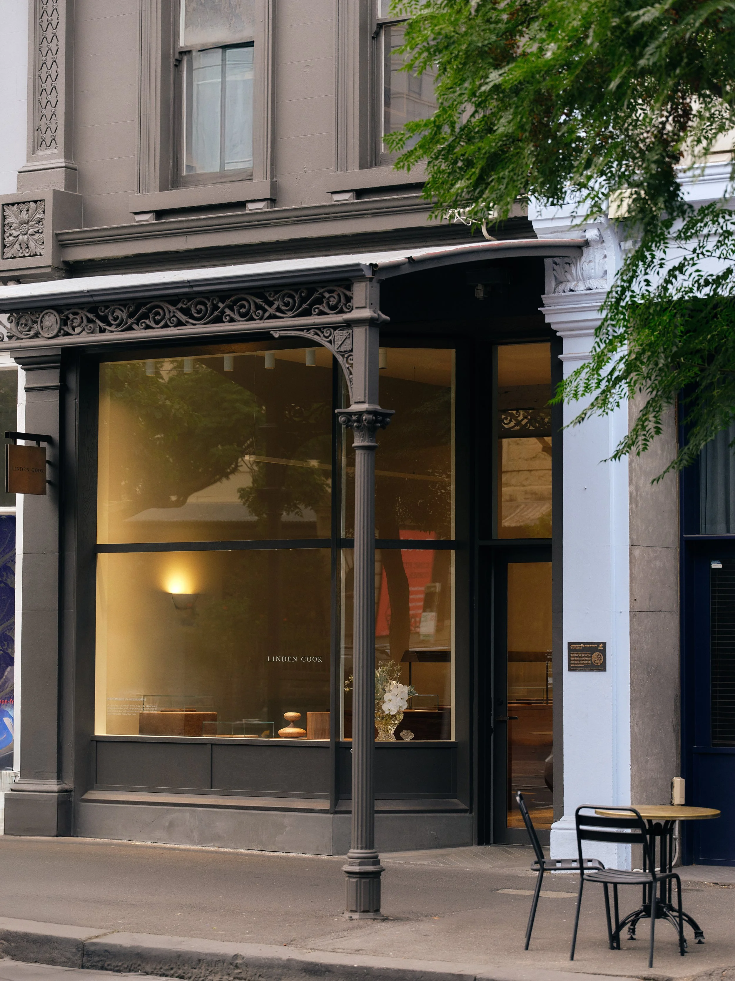 LindenCook_hdavison0312.jpg