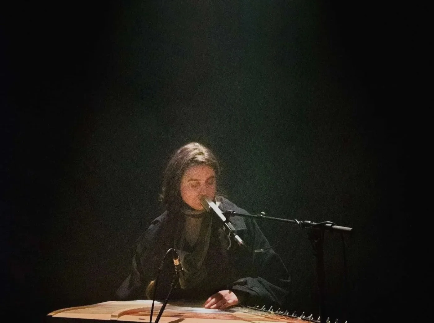 Indrė Jurgelevičiūtė:
kanklés player, singer