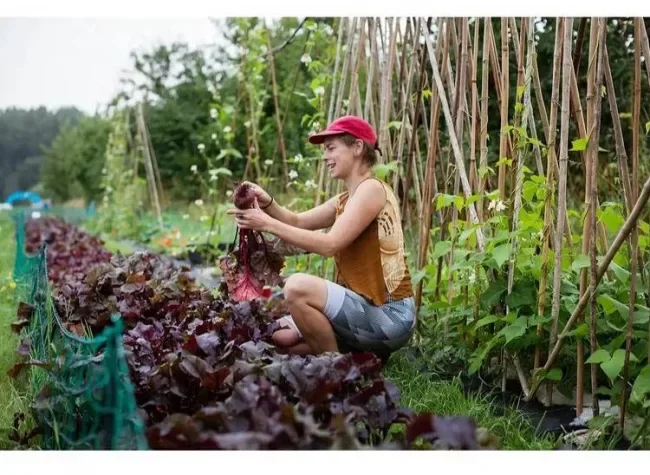 Real Farming Trust