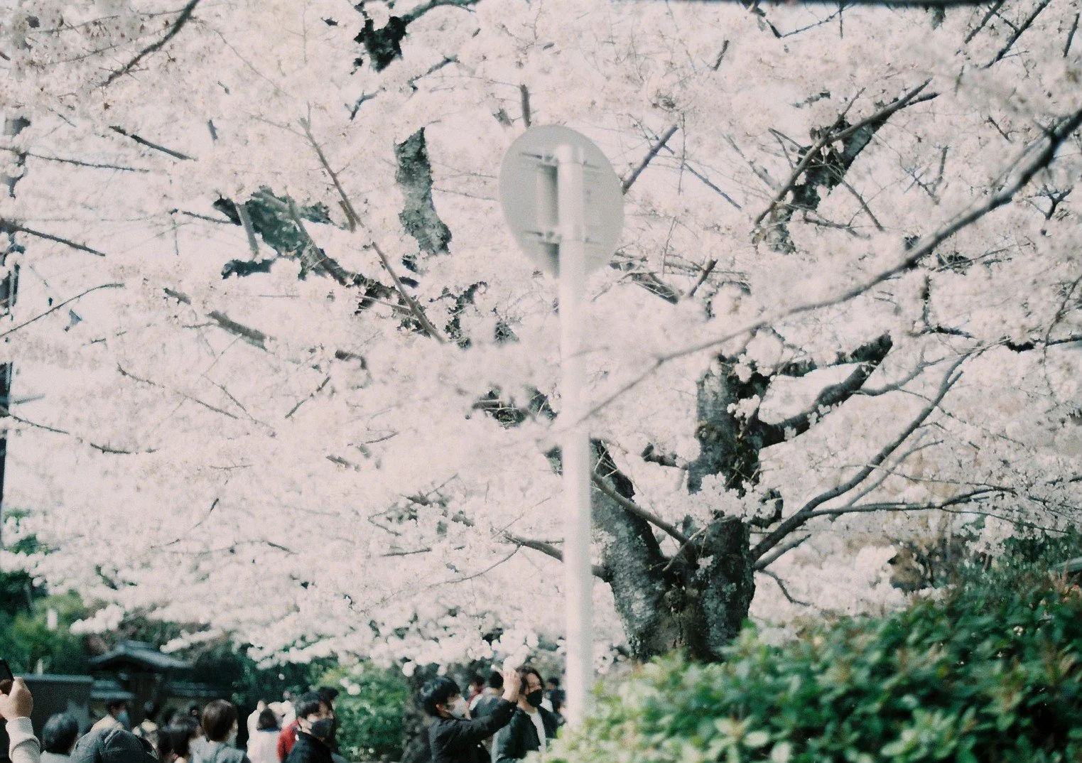 000016.JPG