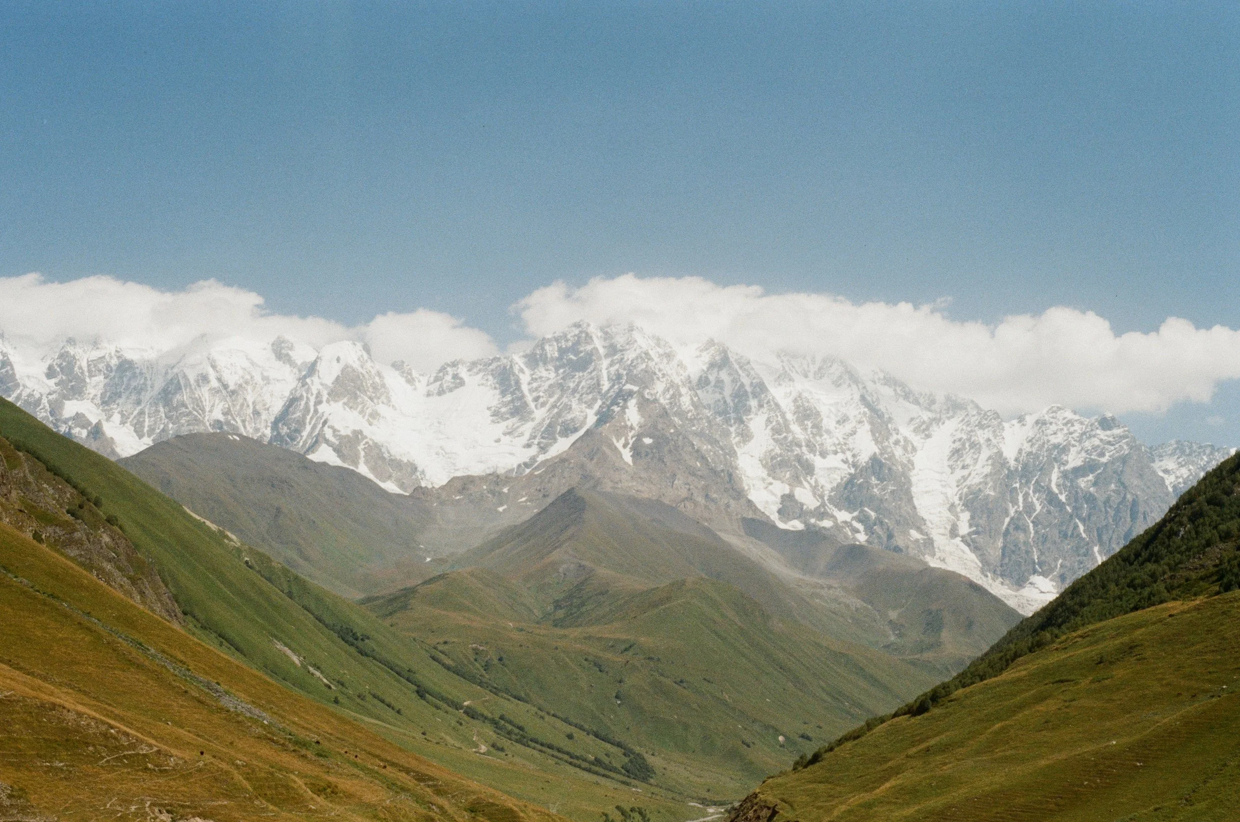 000365220016.jpg