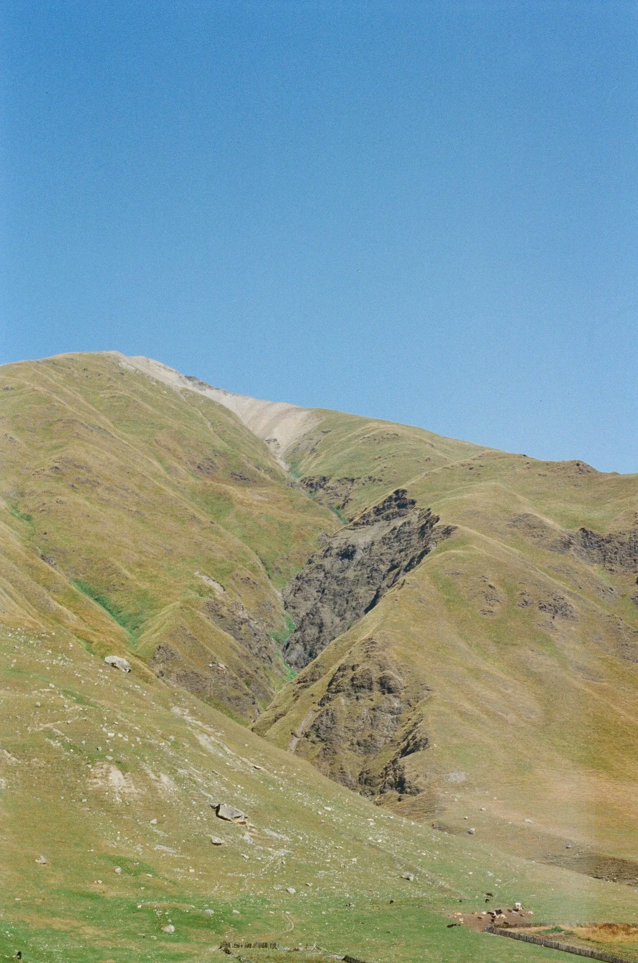 000365220010.jpg