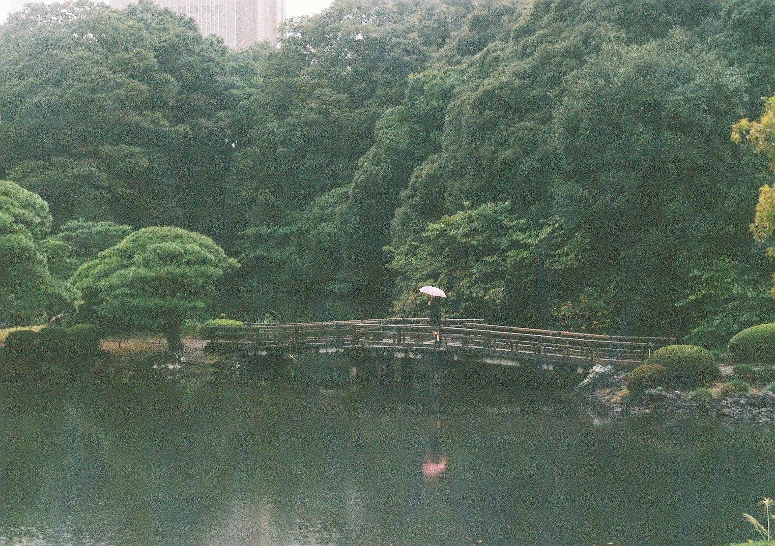 000019.JPG