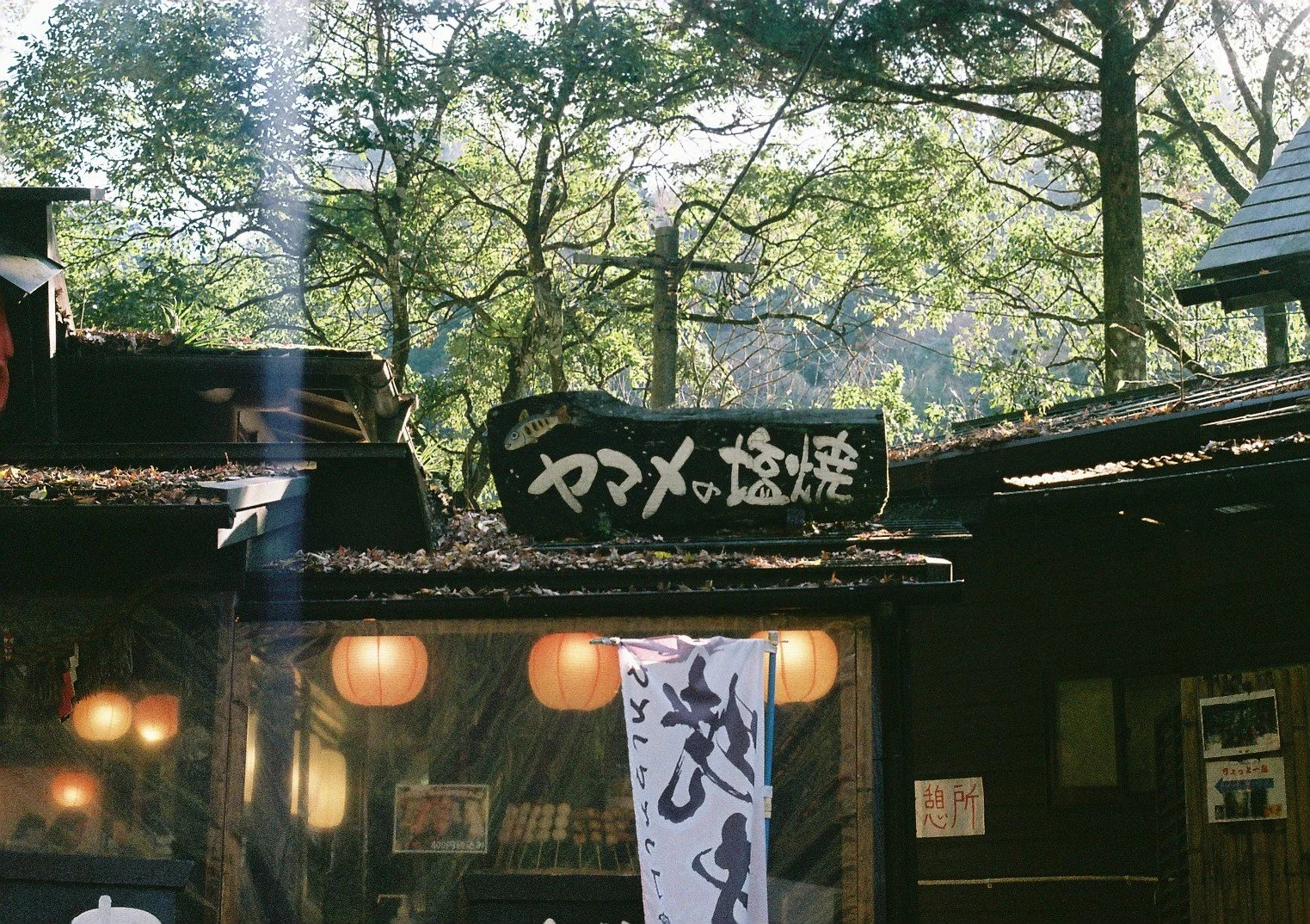 South Japan