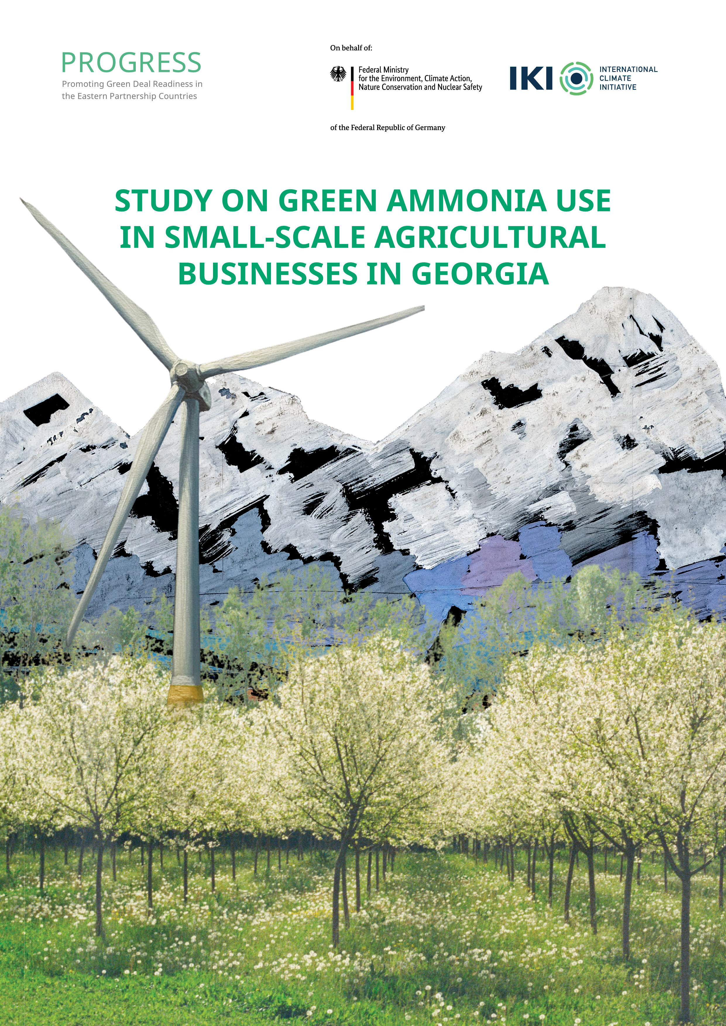 Study on Green Ammonia