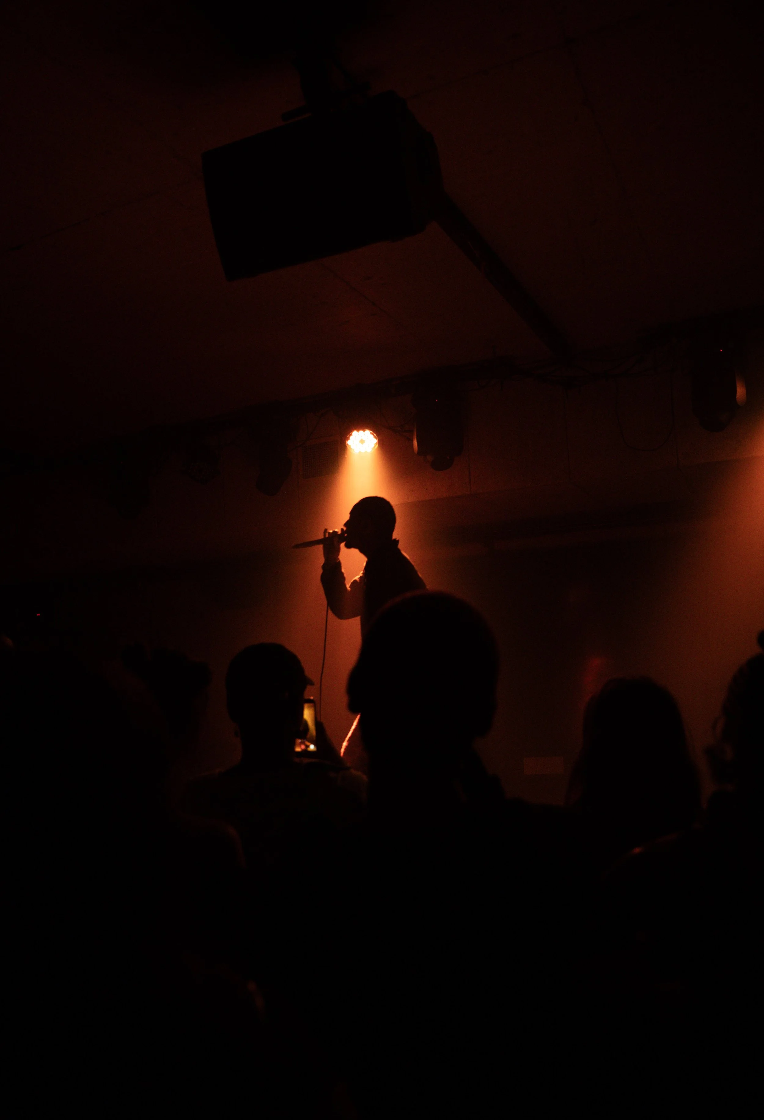 A silhouette of a performer holding a microphone on stage with orange stage lights illuminating the background and an audience in the foreground.