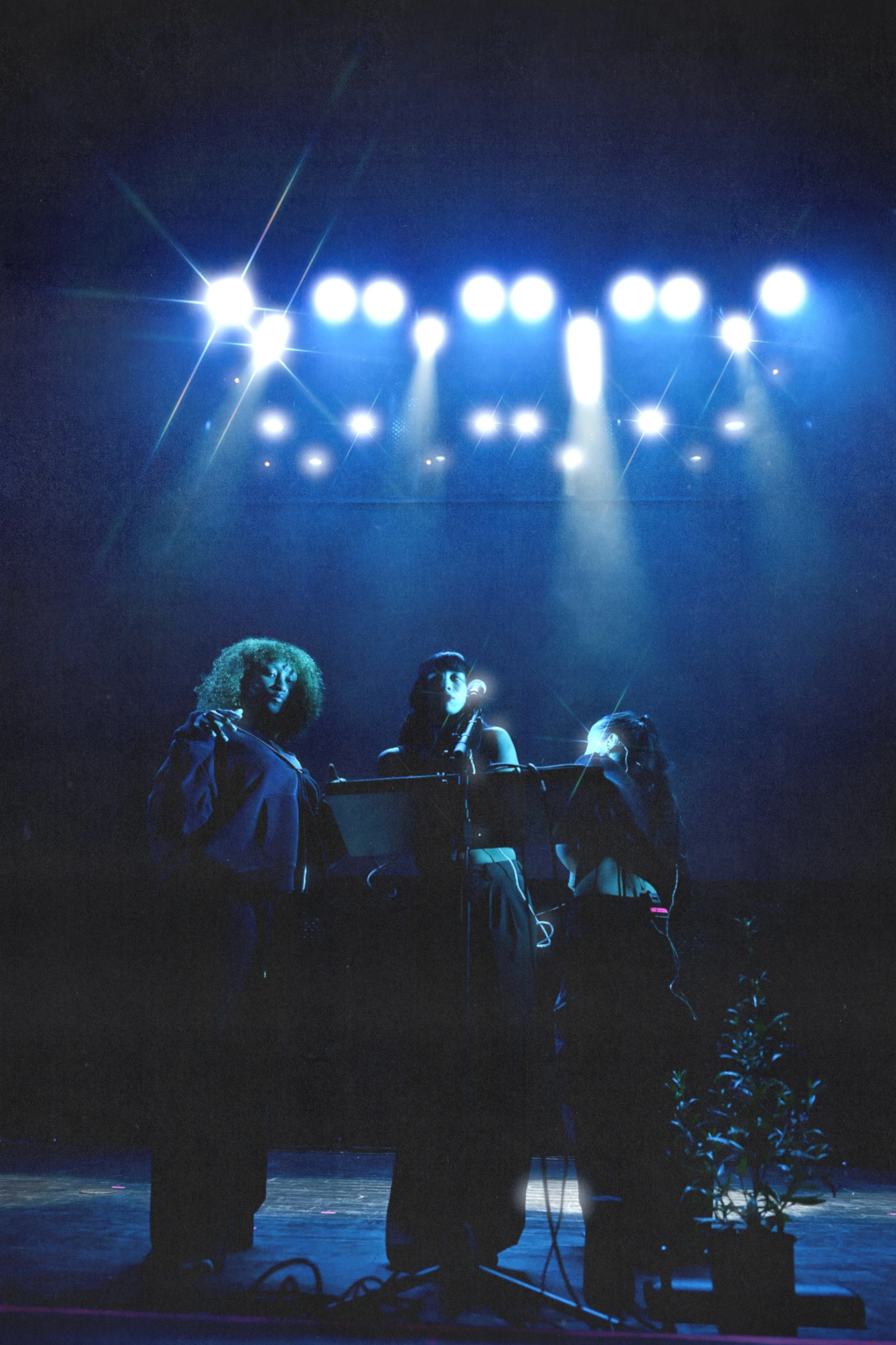 Three individuals on stage illuminated by bright stage lights, with a dark background and some plant elements in the foreground.