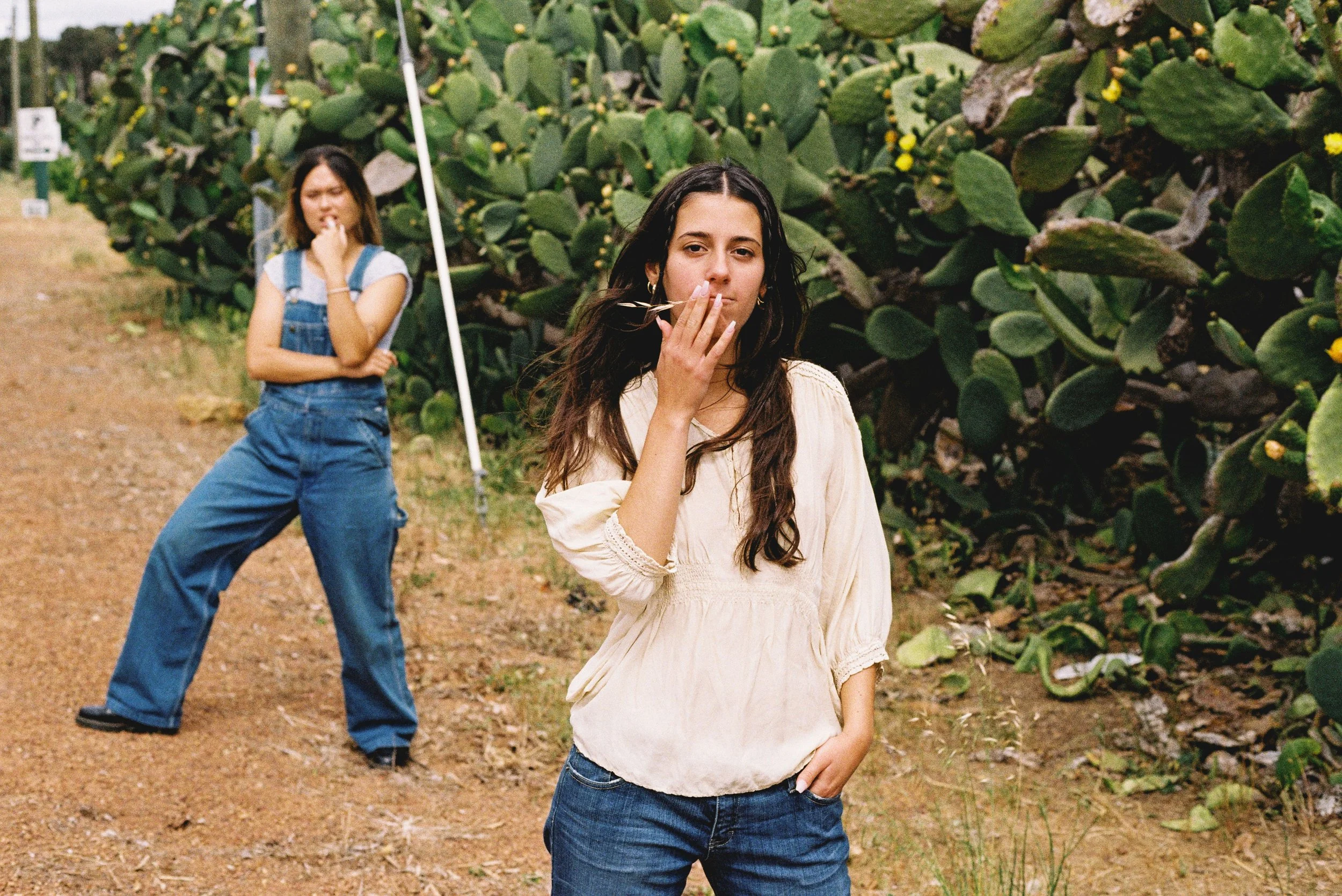 IMG_5317.JPG
