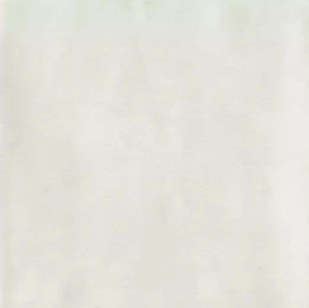 Colore Blanco.webp