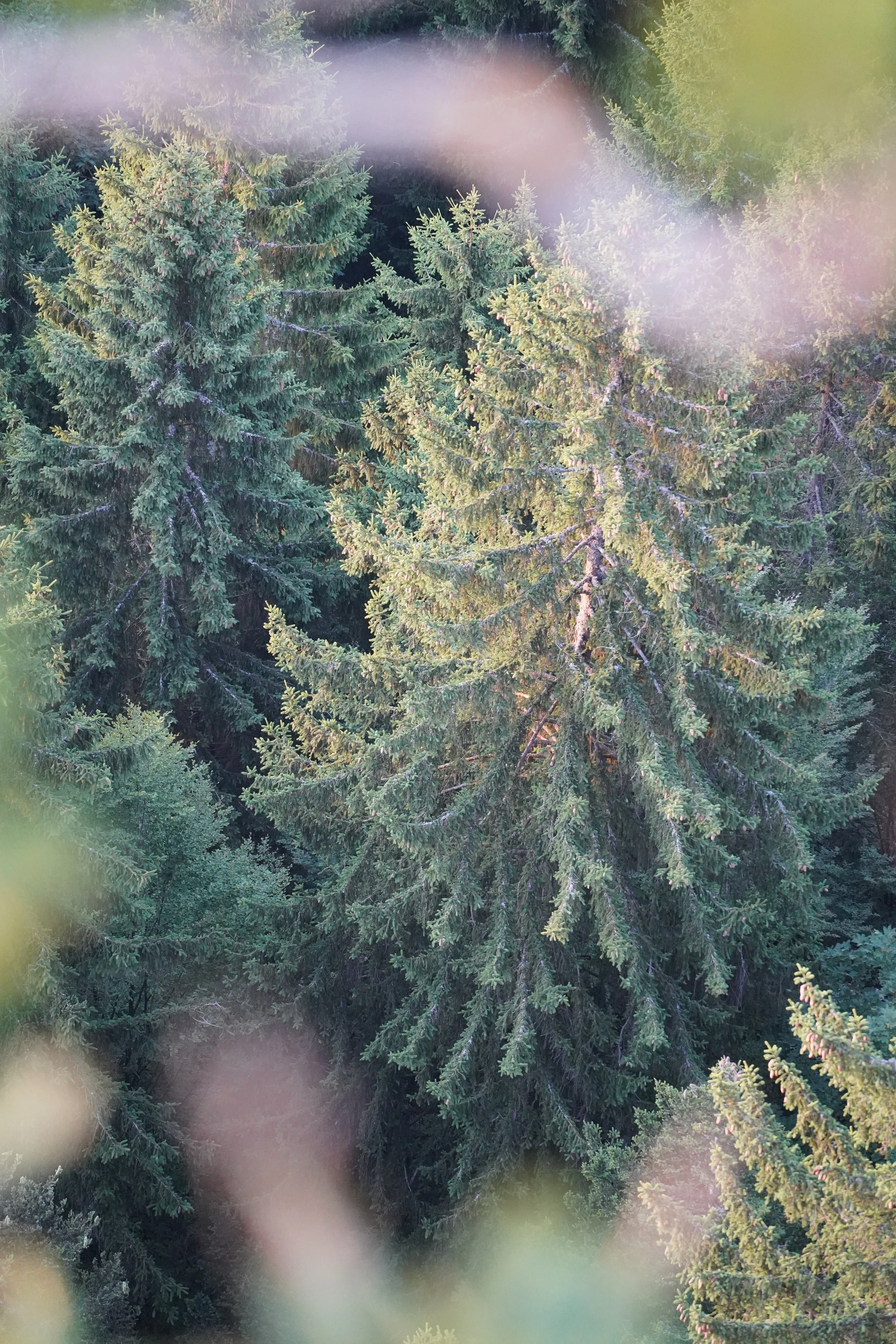DSC06834.jpeg