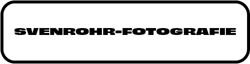 Dein Website-Titel
