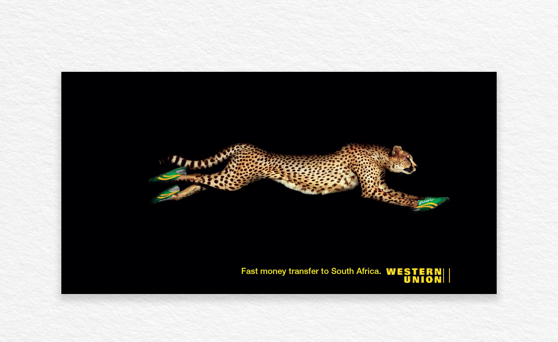 WESTERN UNION_CHEETAH2.jpg