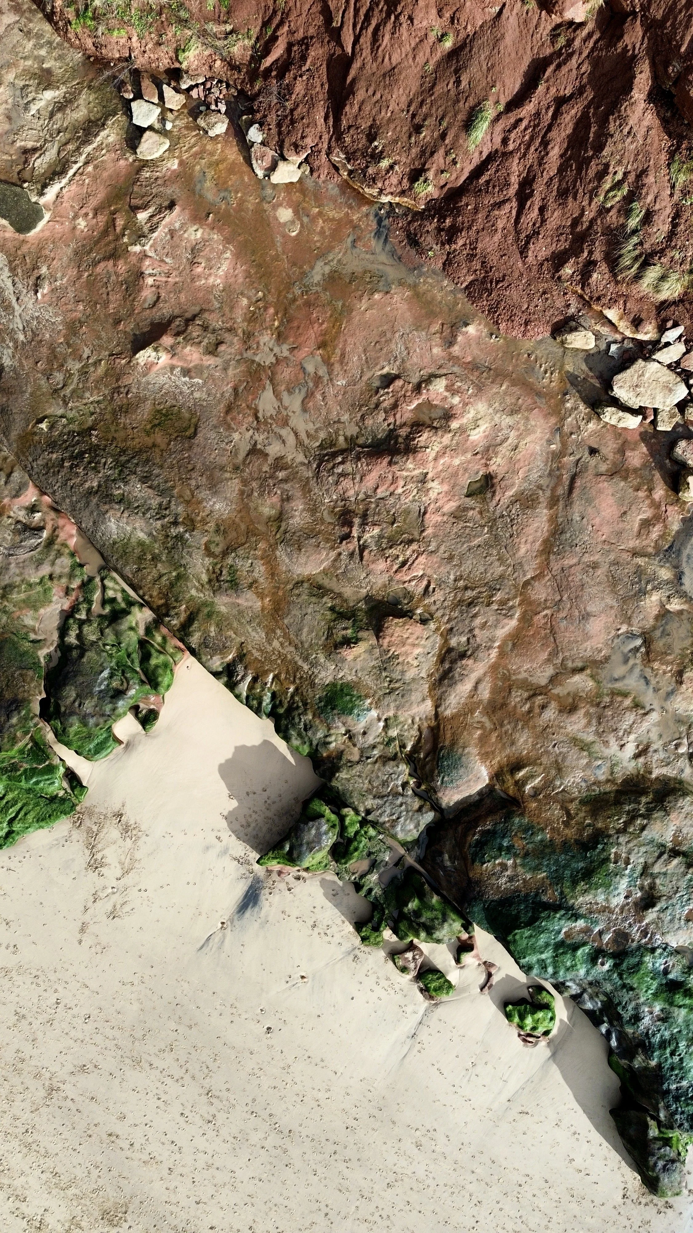 A large, textured rock formation with patches of moss and small stones on it, with a sandy beach and green plants at the bottom.