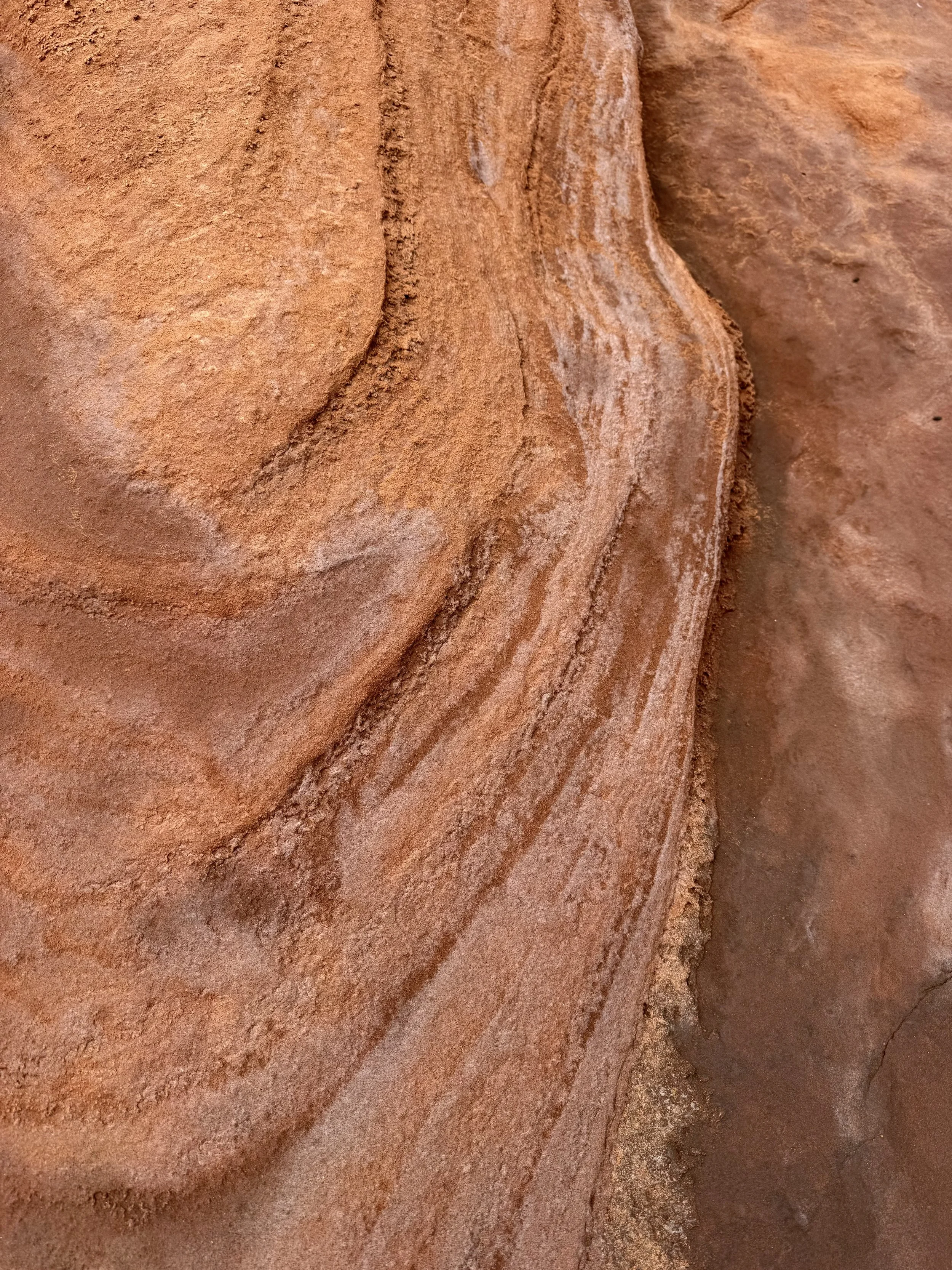 Close-up of layered red sandstone rocks with textured surface and natural striations.