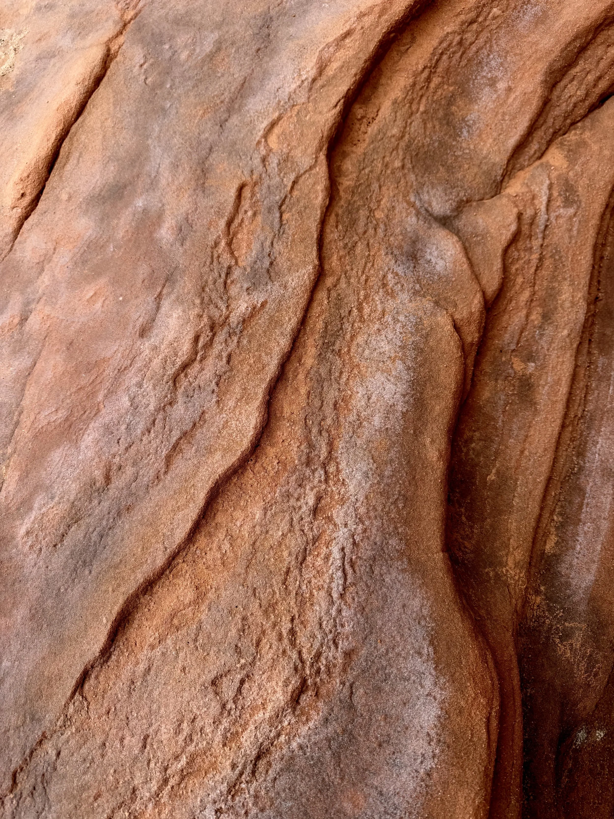 Close-up of a textured, reddish-brown sandstone rock surface with visible layers and natural formations.