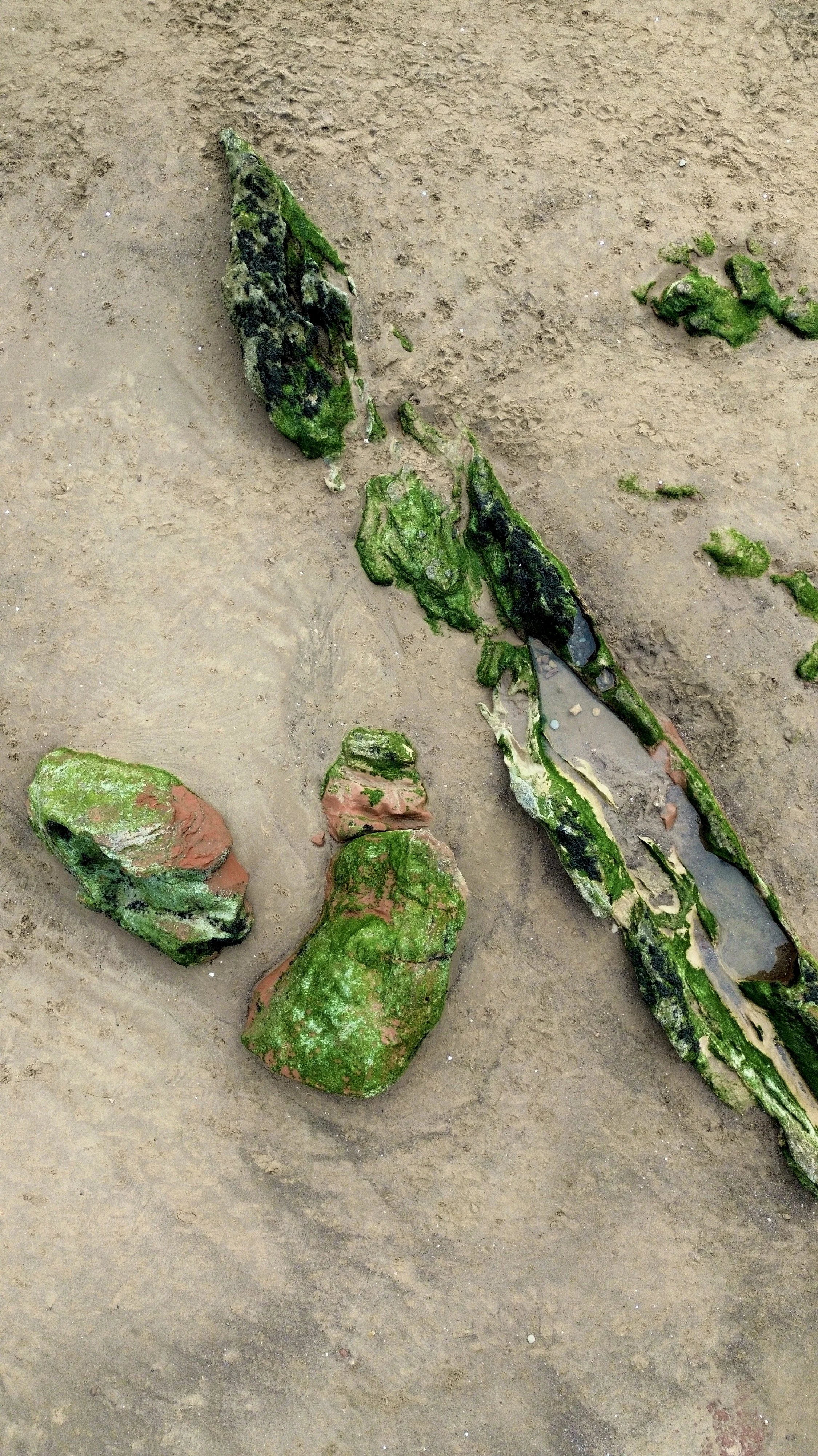 Colorful rocks covered with green moss lying on sandy ground.