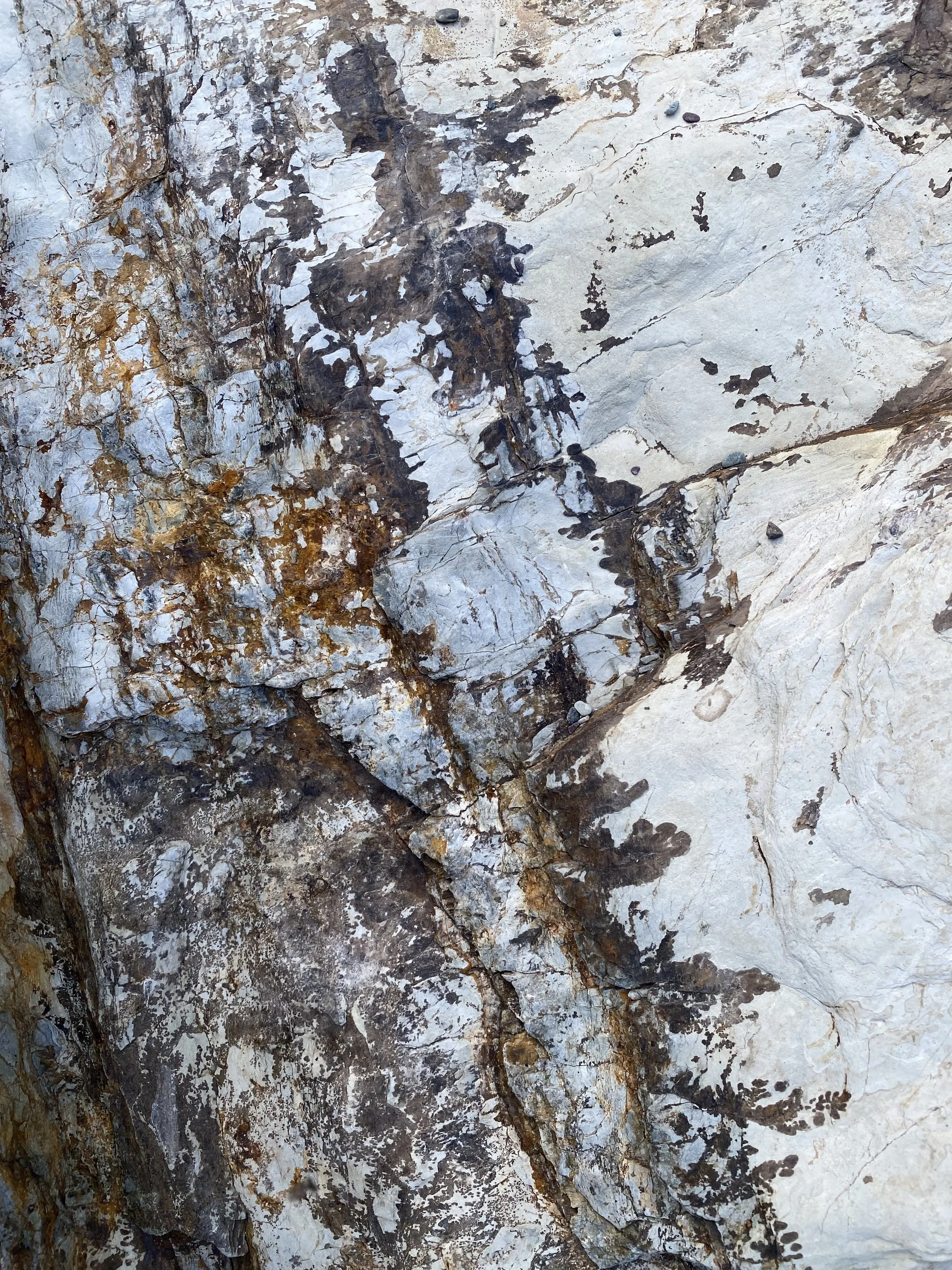 Close-up of a textured rock face with various shades of brown, gray, and white, showing cracks and mineral deposits.