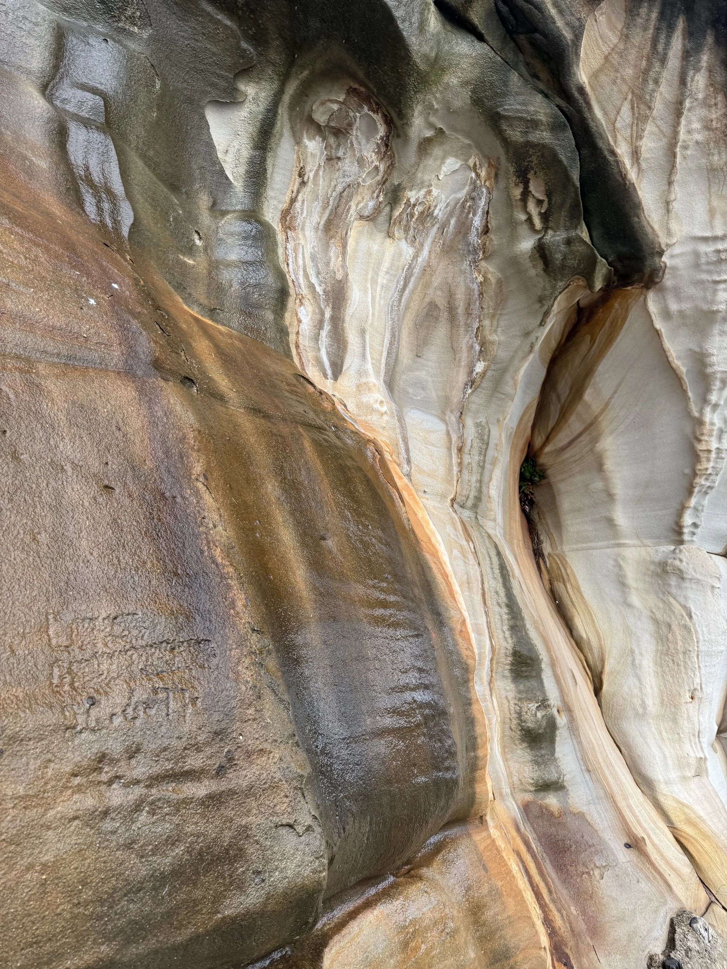 Close-up of multi-colored layered rocks with smooth textures, showing natural striations in shades of brown, gray, cream, and black.