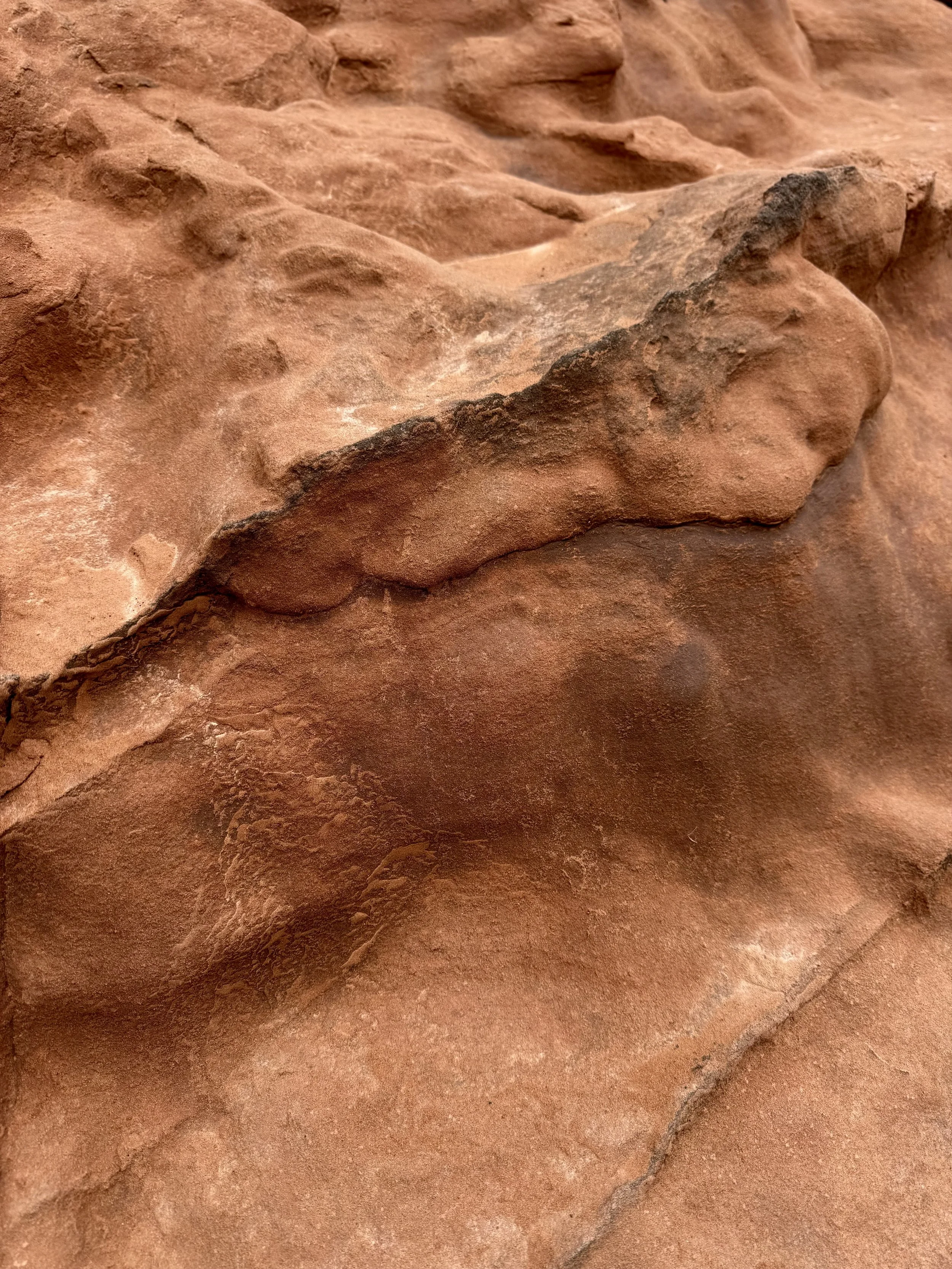 Close-up of reddish-brown rock surface with textured, layered appearance and dark streaks.