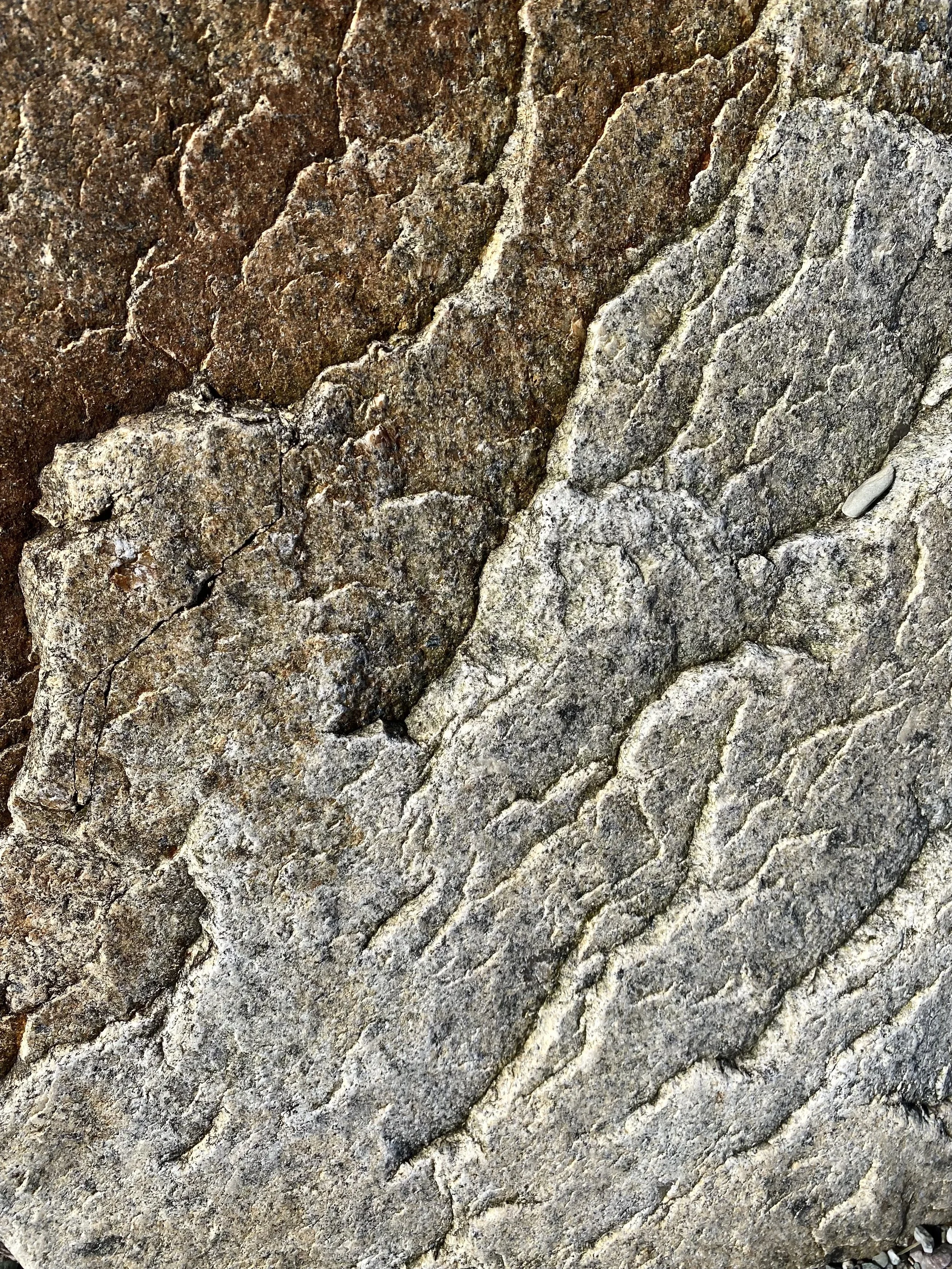 Close-up of rough, textured granite rocks with various shades of gray and brown.