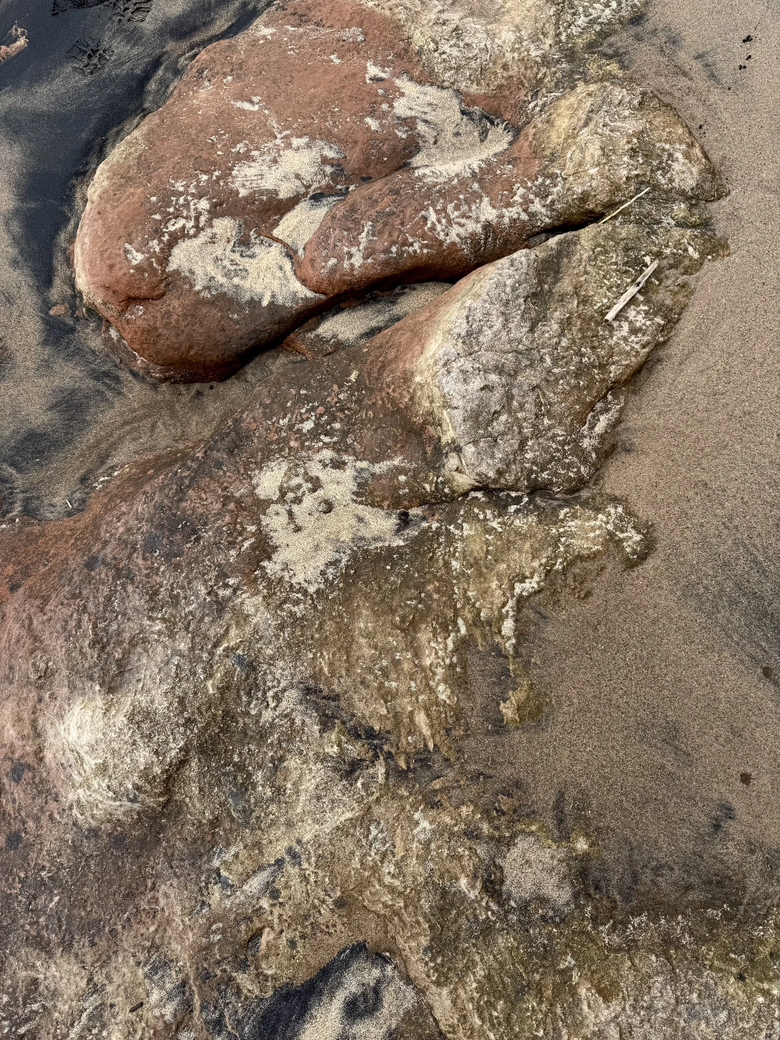 Several large rocks partially covered by sand, with some patches of lichen or weathering on their surface, on a sandy ground.