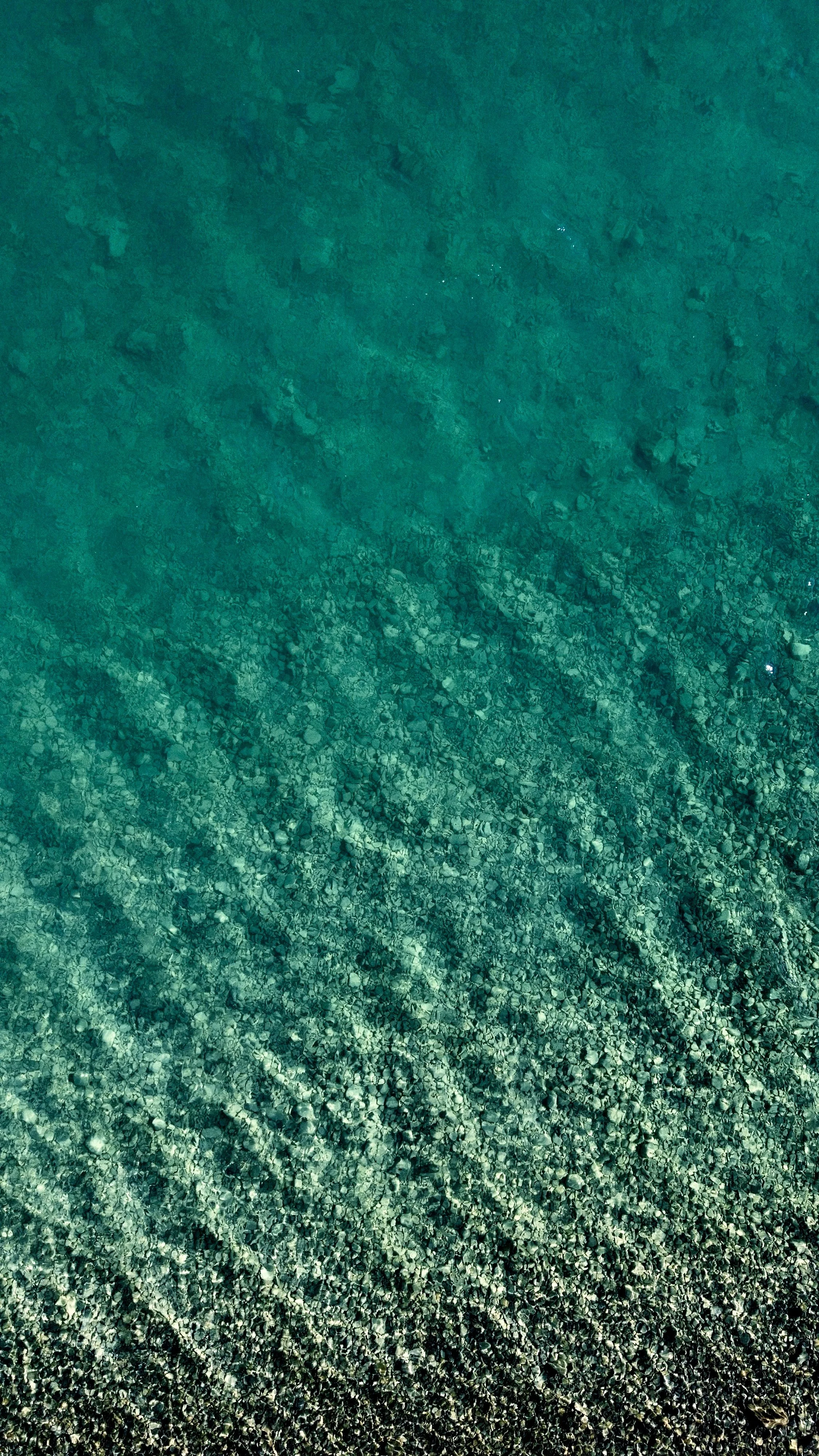 Underwater view of a rocky ocean floor with clear, turquoise water.