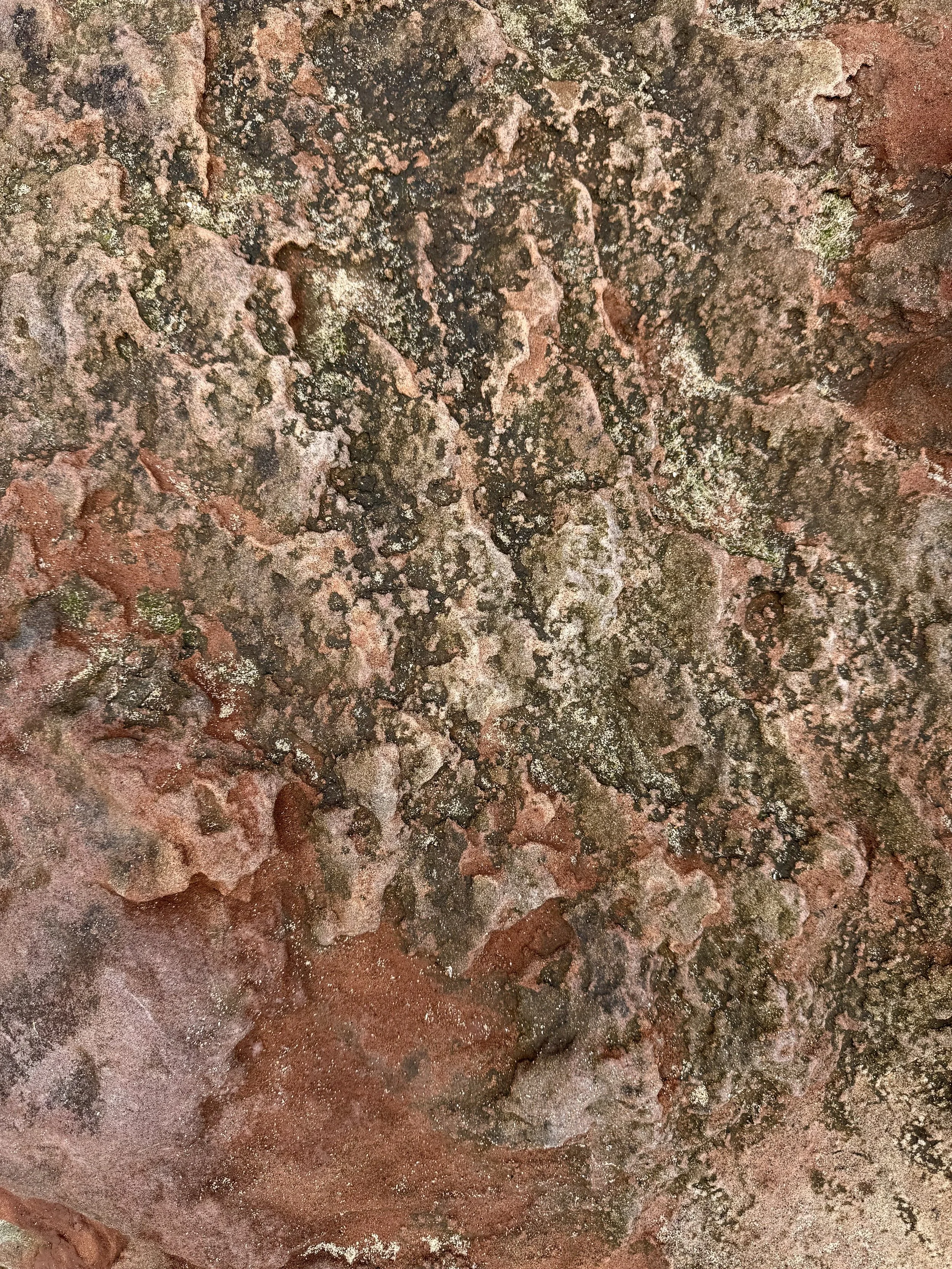 Close-up image of a rough, textured mountain surface with patches of lichen and moss.